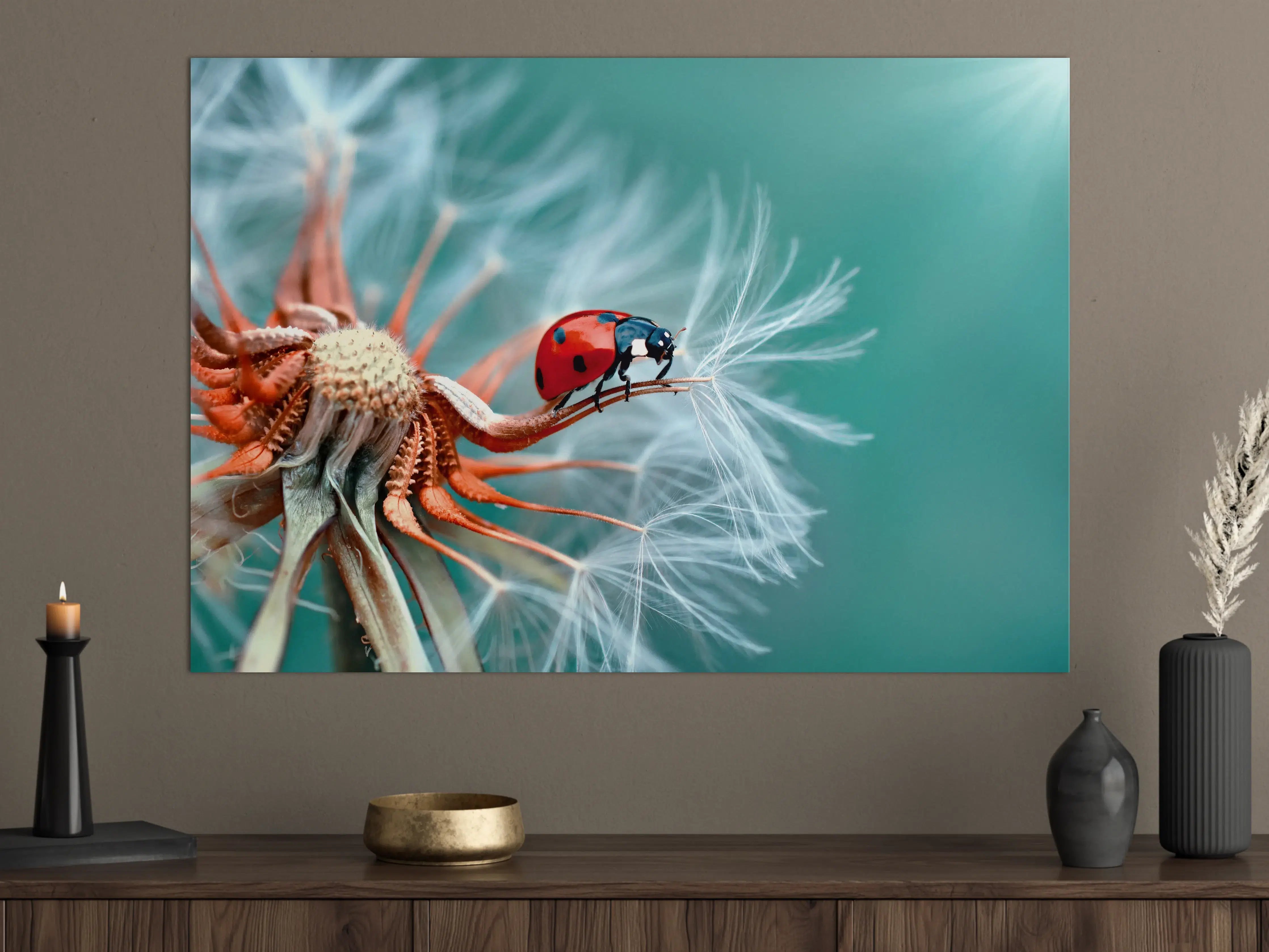 Große Wandbilder - Kleiner Marienkäfer auf einer Pusteblume