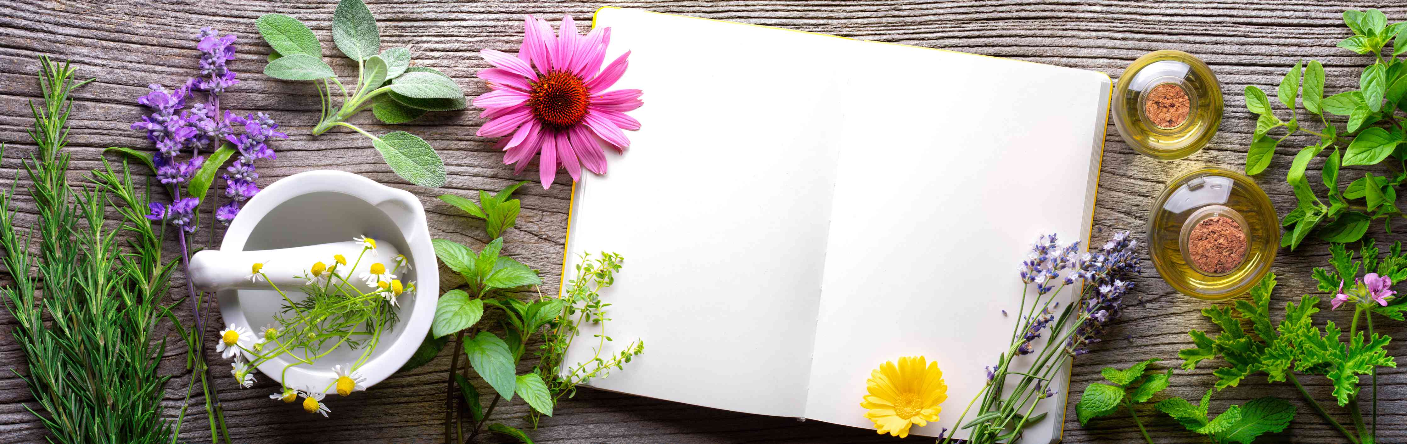 Große Wandbilder-Kräuter & Blumen