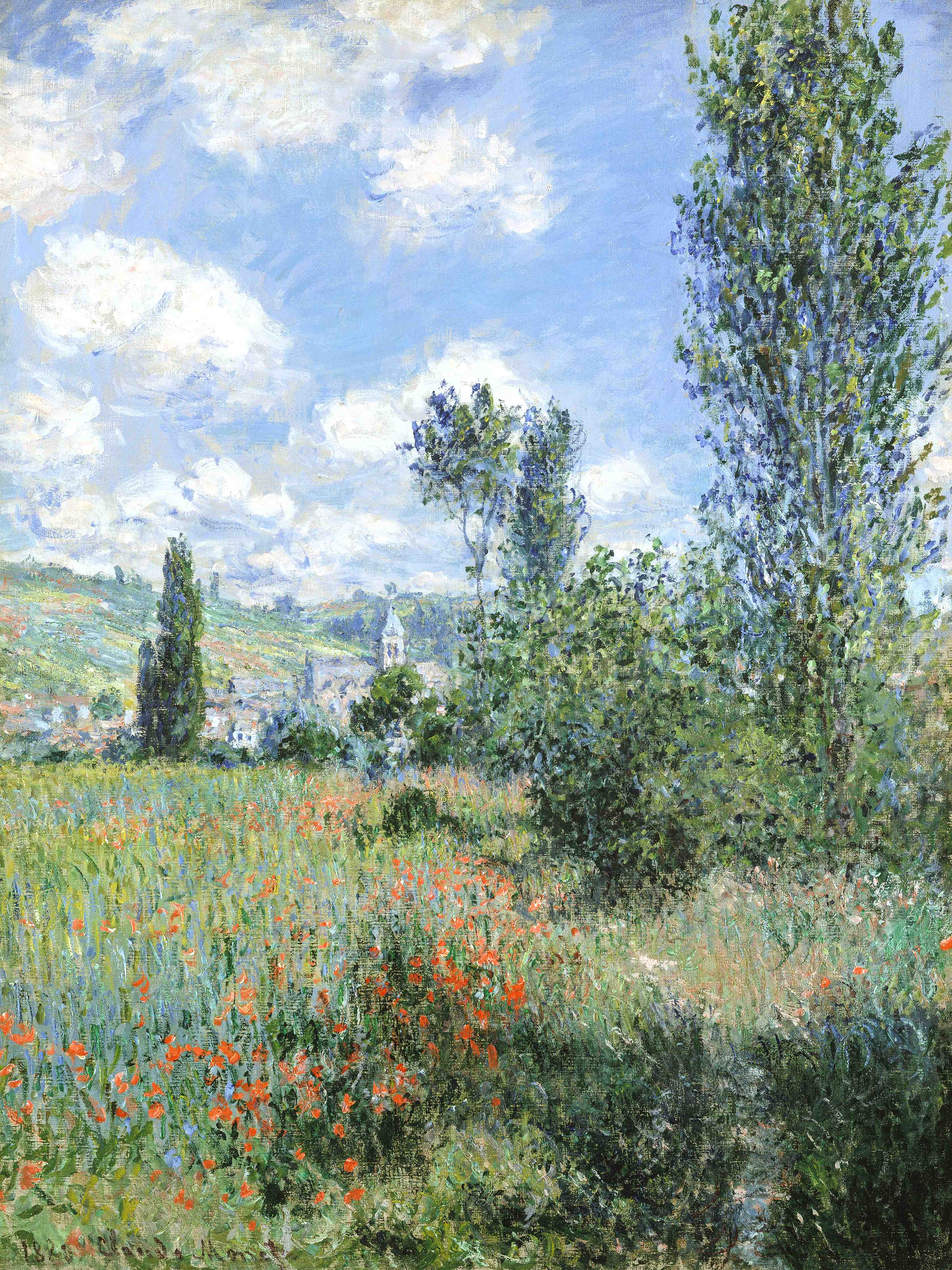 Große Wandbilder-Landschaft mit blühendem Feld und Himmel