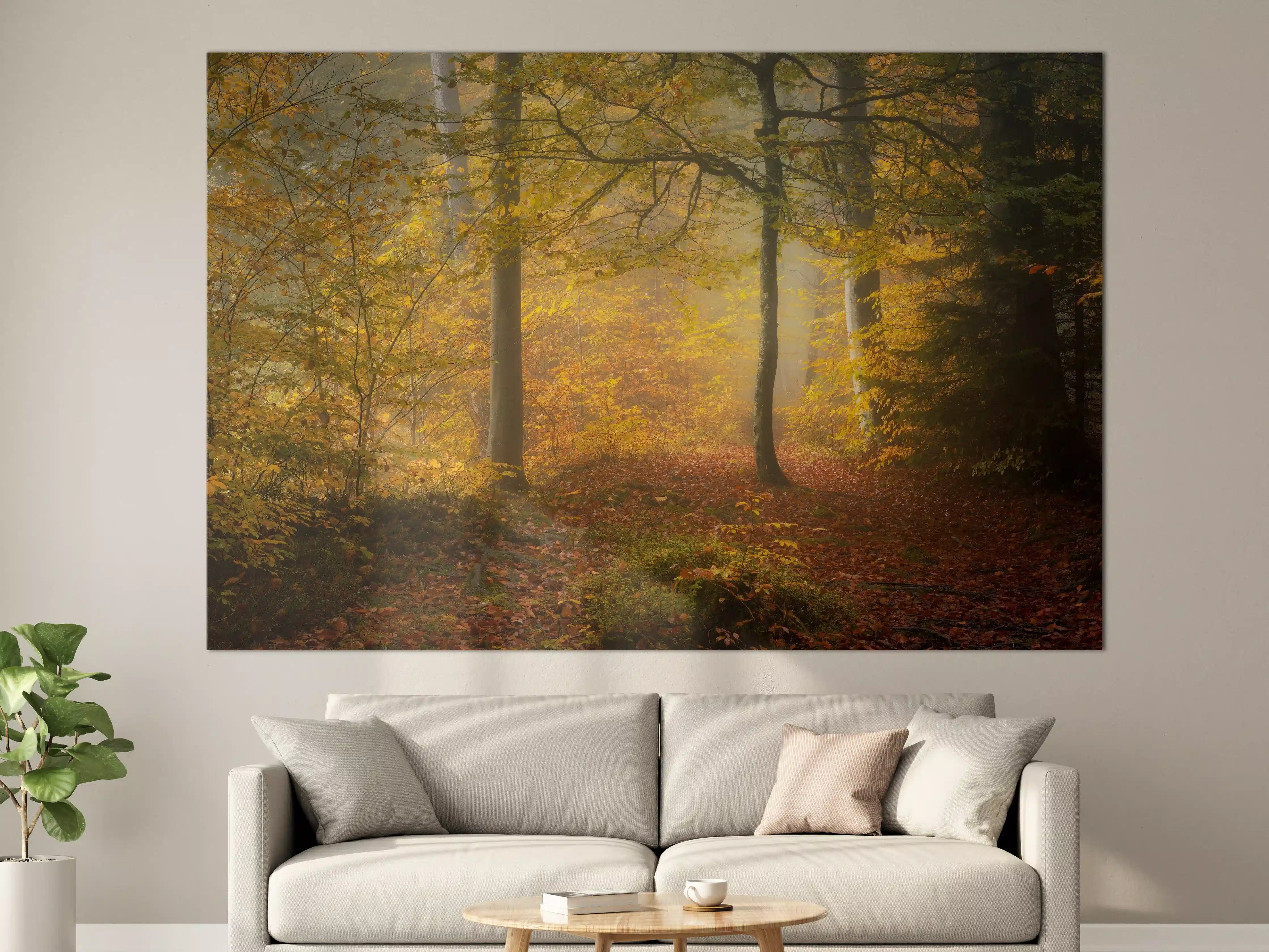 Große Wandbilder - Laub im Wald