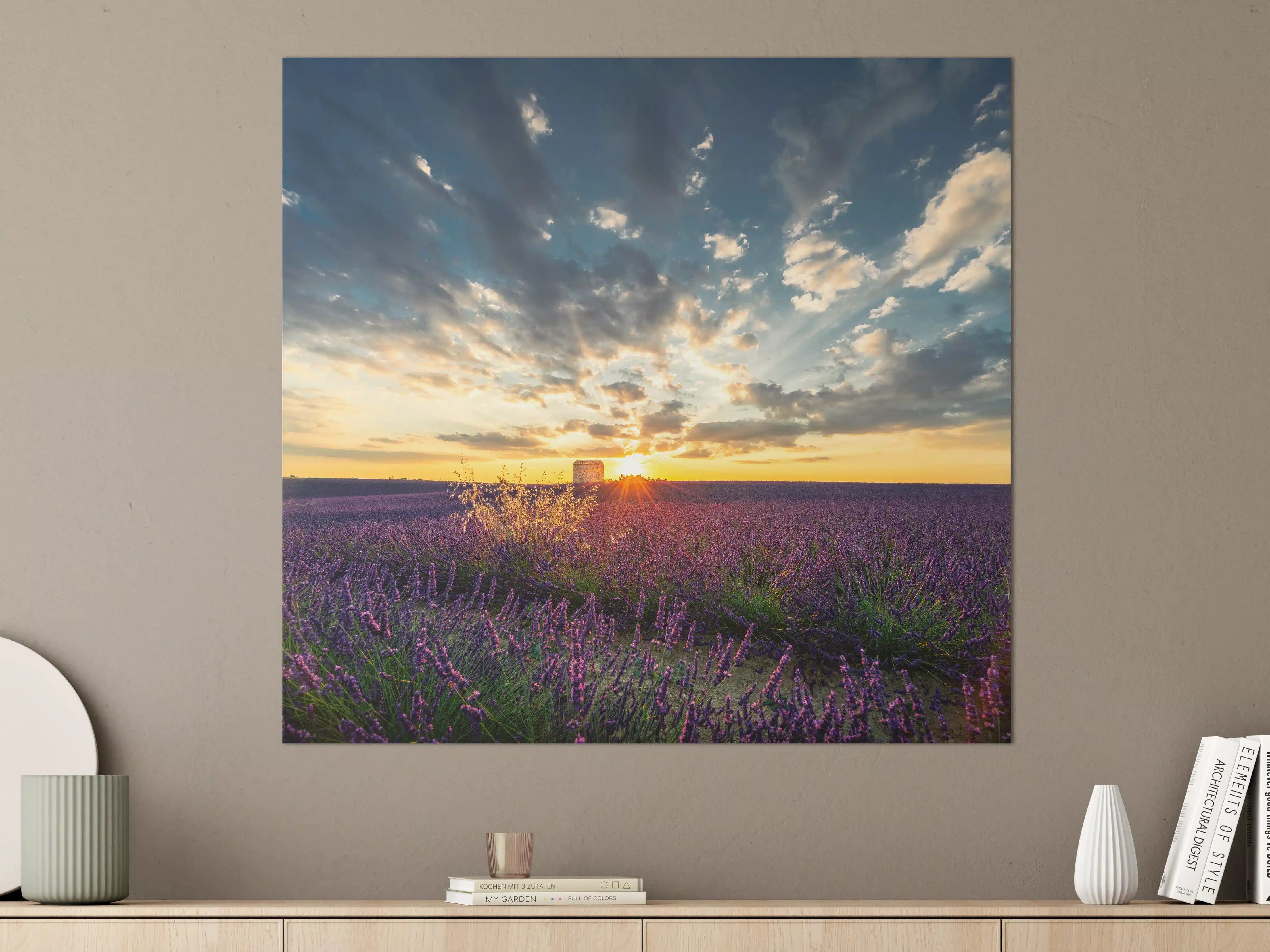 Große Wandbilder - Lavendel Feld im Sommer in der Provence