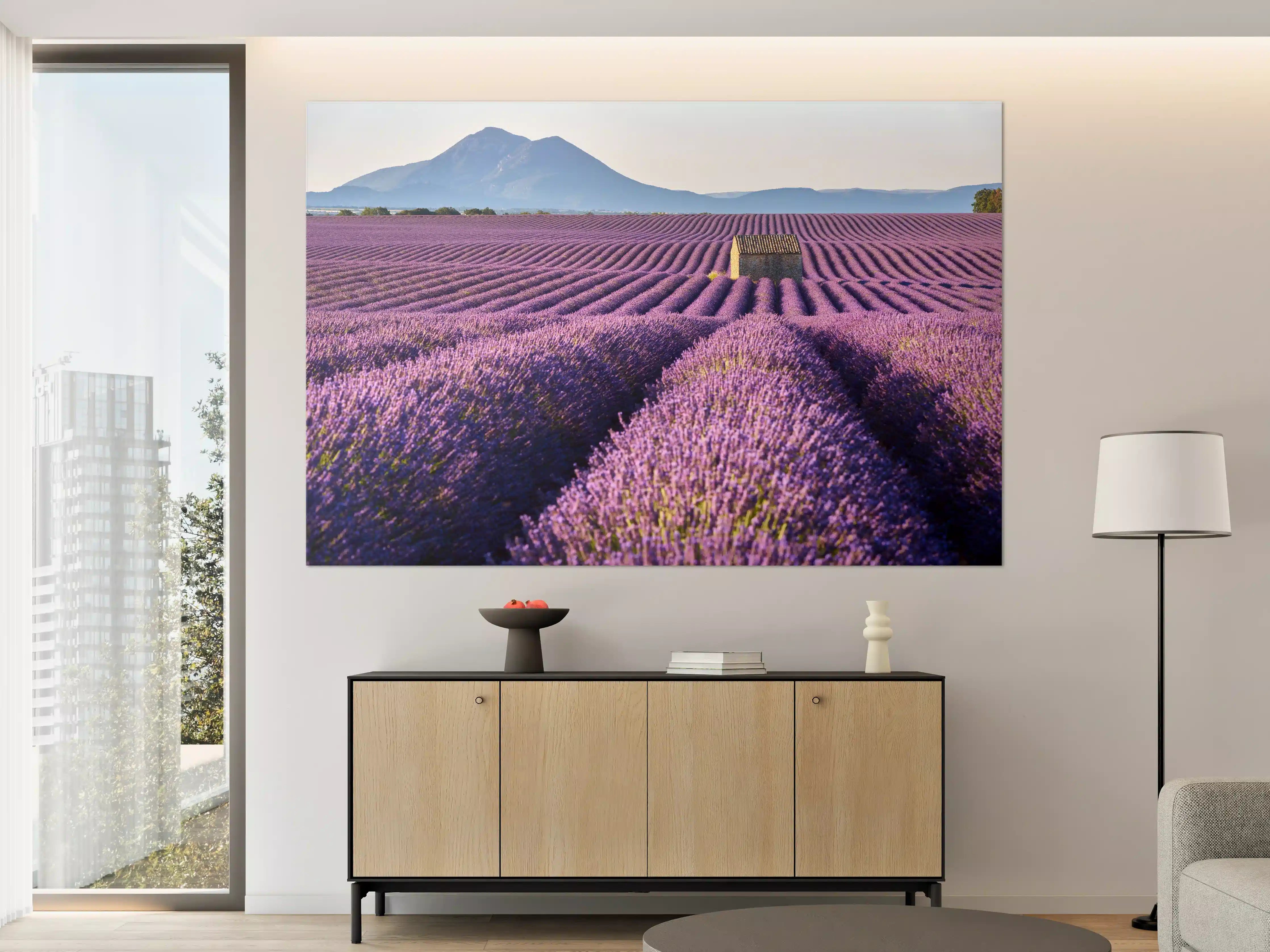 Große Wandbilder - Lavendelfelder auf dem Plateau de Valensole