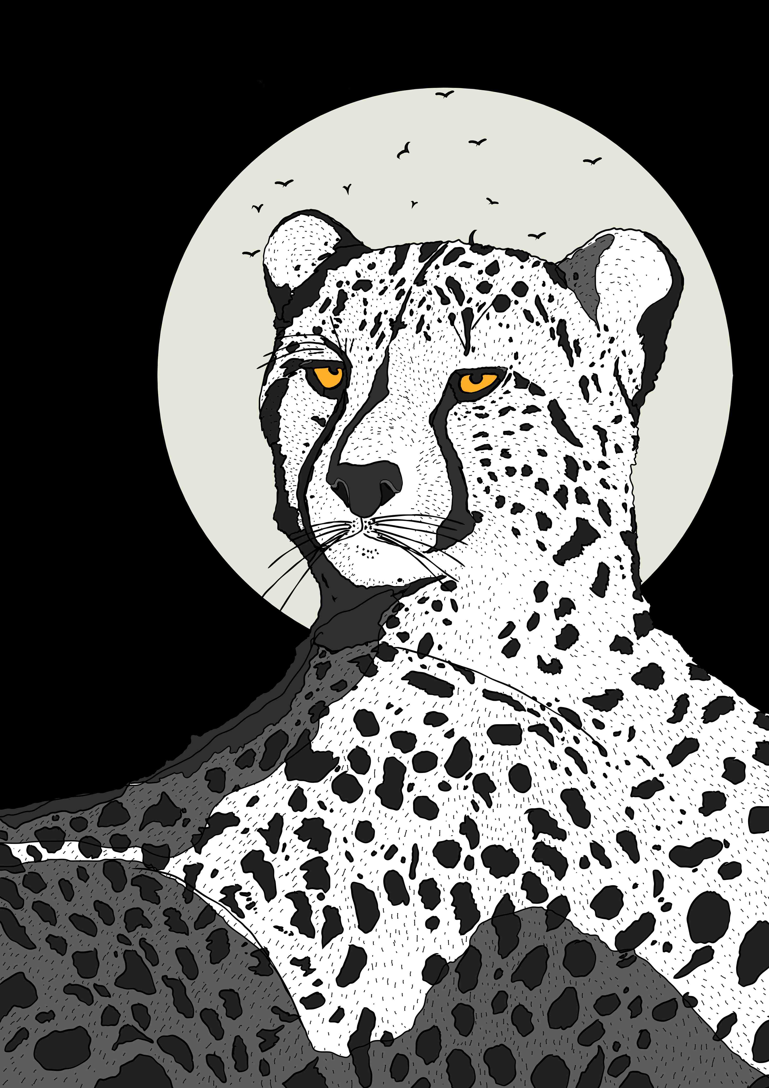 Große Wandbilder-Leopard vor Mond auf dunklem Hintergrund