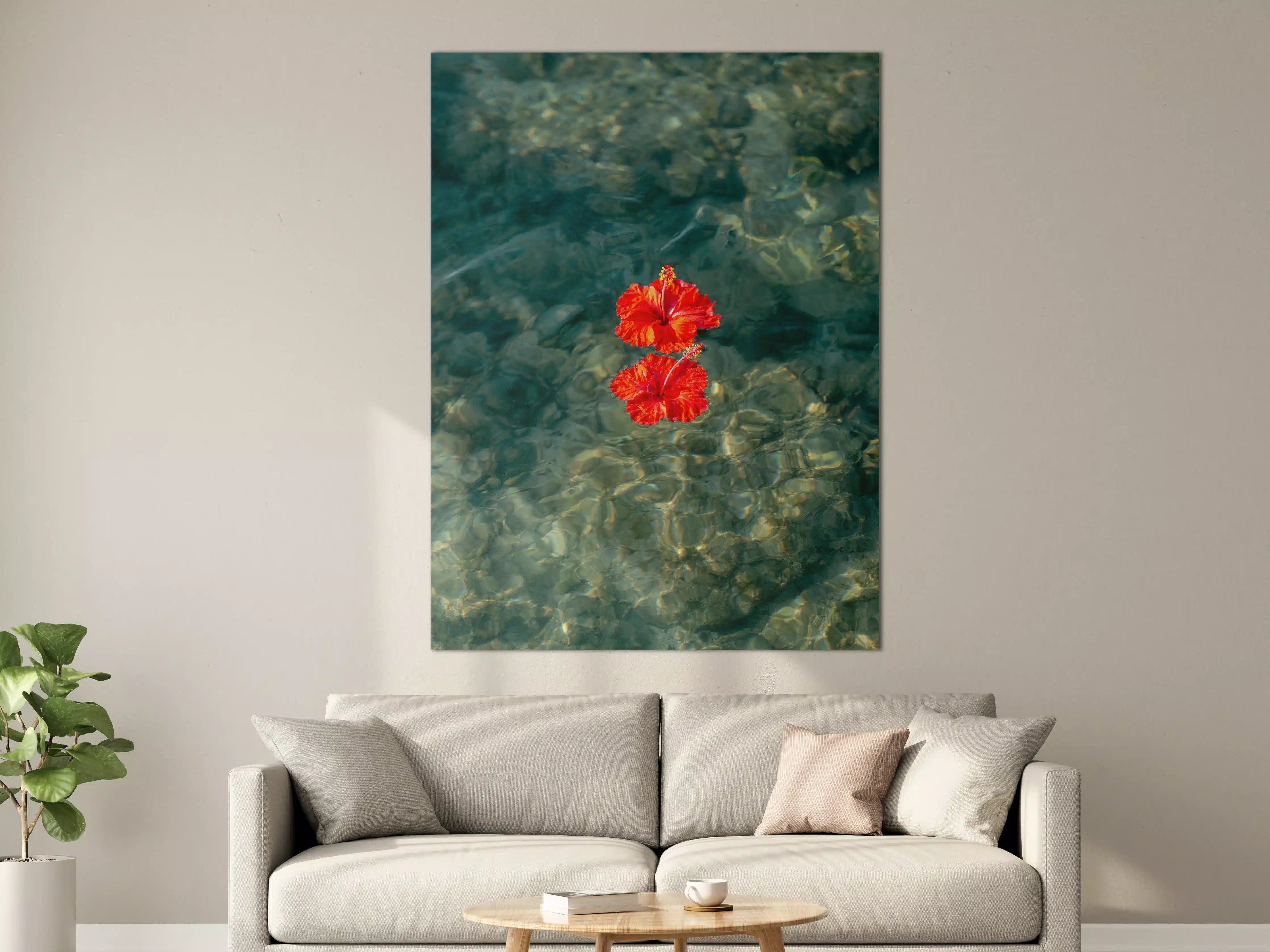 Große Wandbilder - Leuchtend rote Hibiskusblume auf klarem Wasser