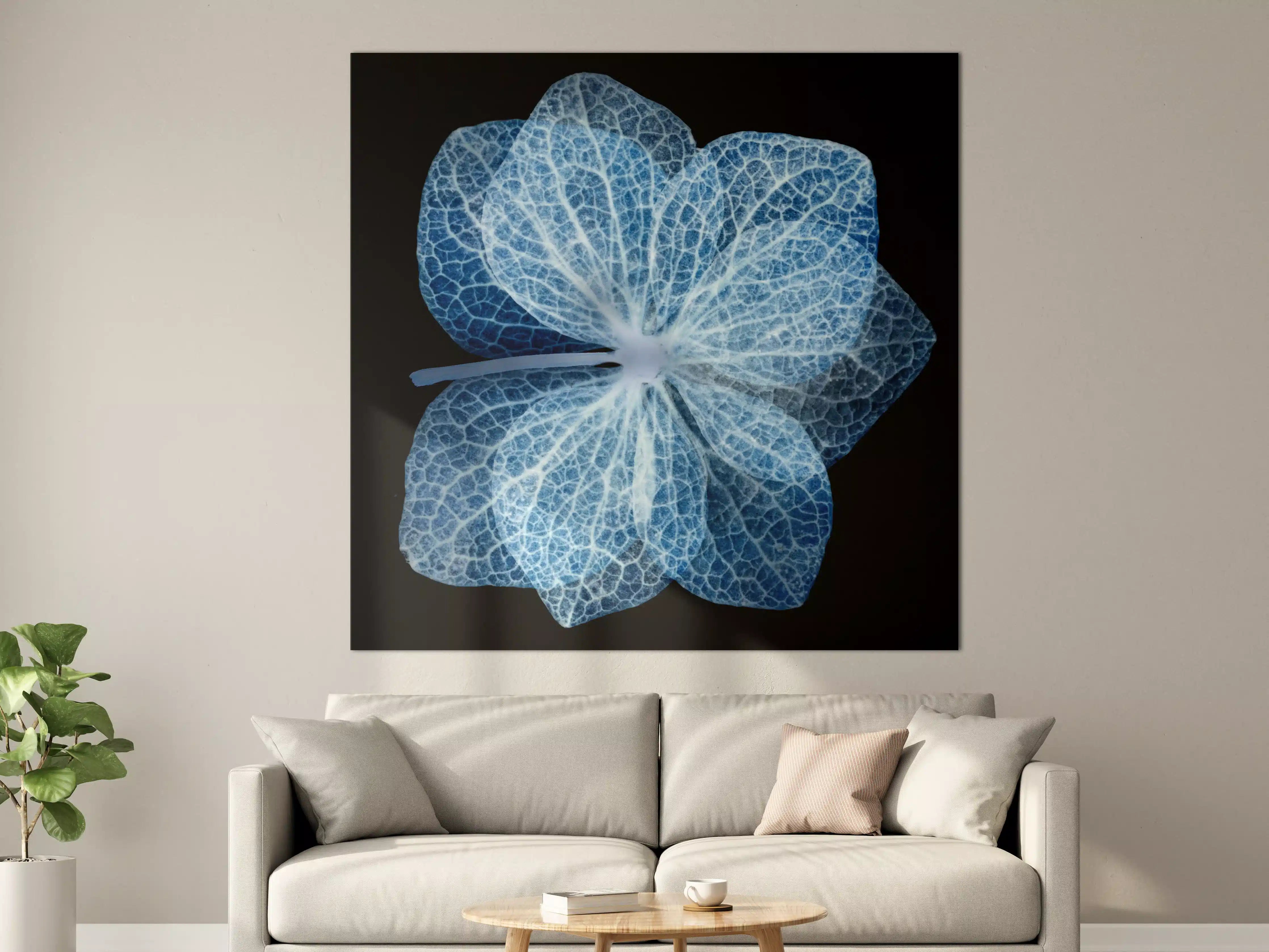 Große Wandbilder - Leuchtende Blume mit transparenter Struktur