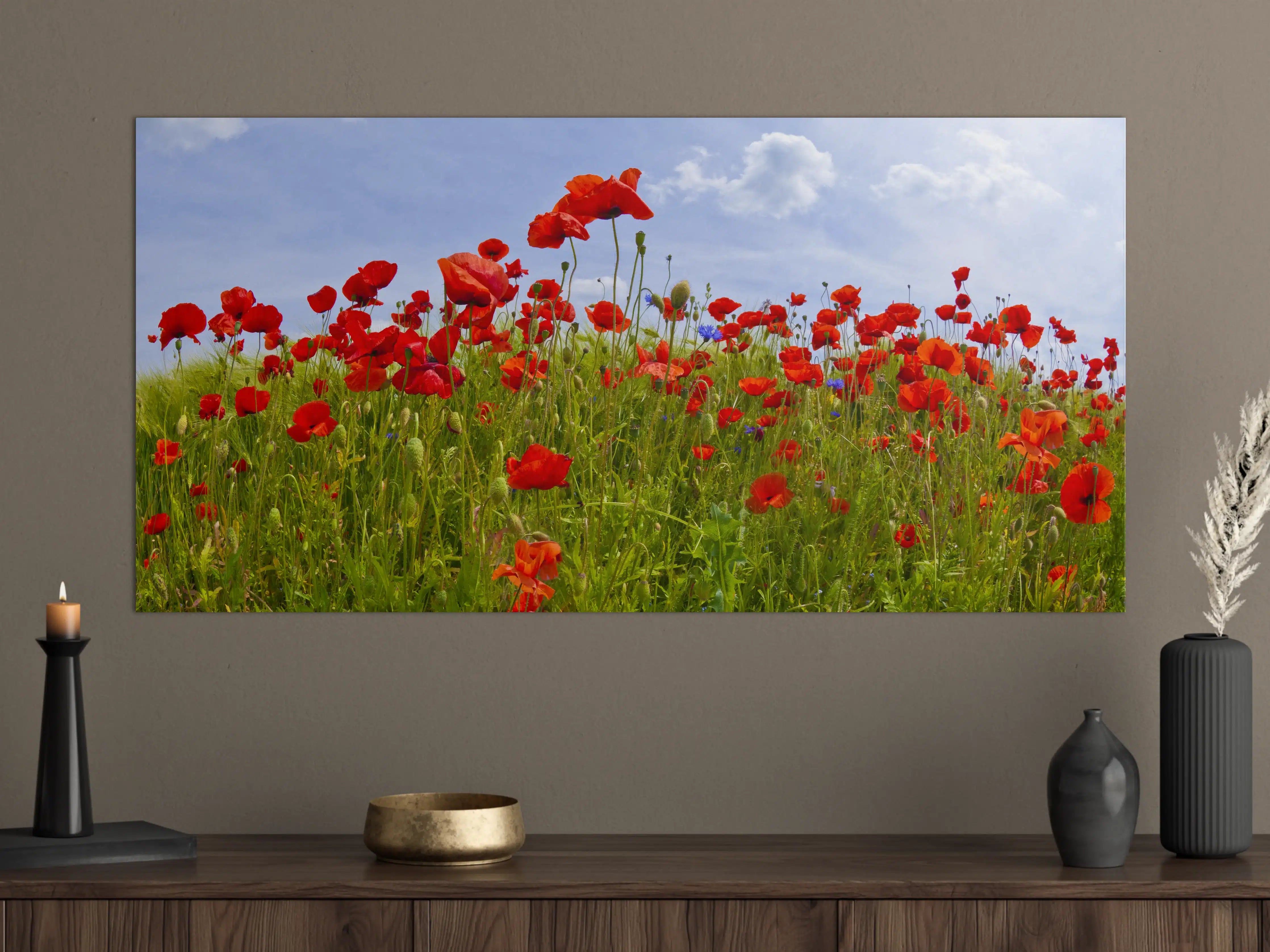 Große Wandbilder - Leuchtende Mohnblumen im Feld