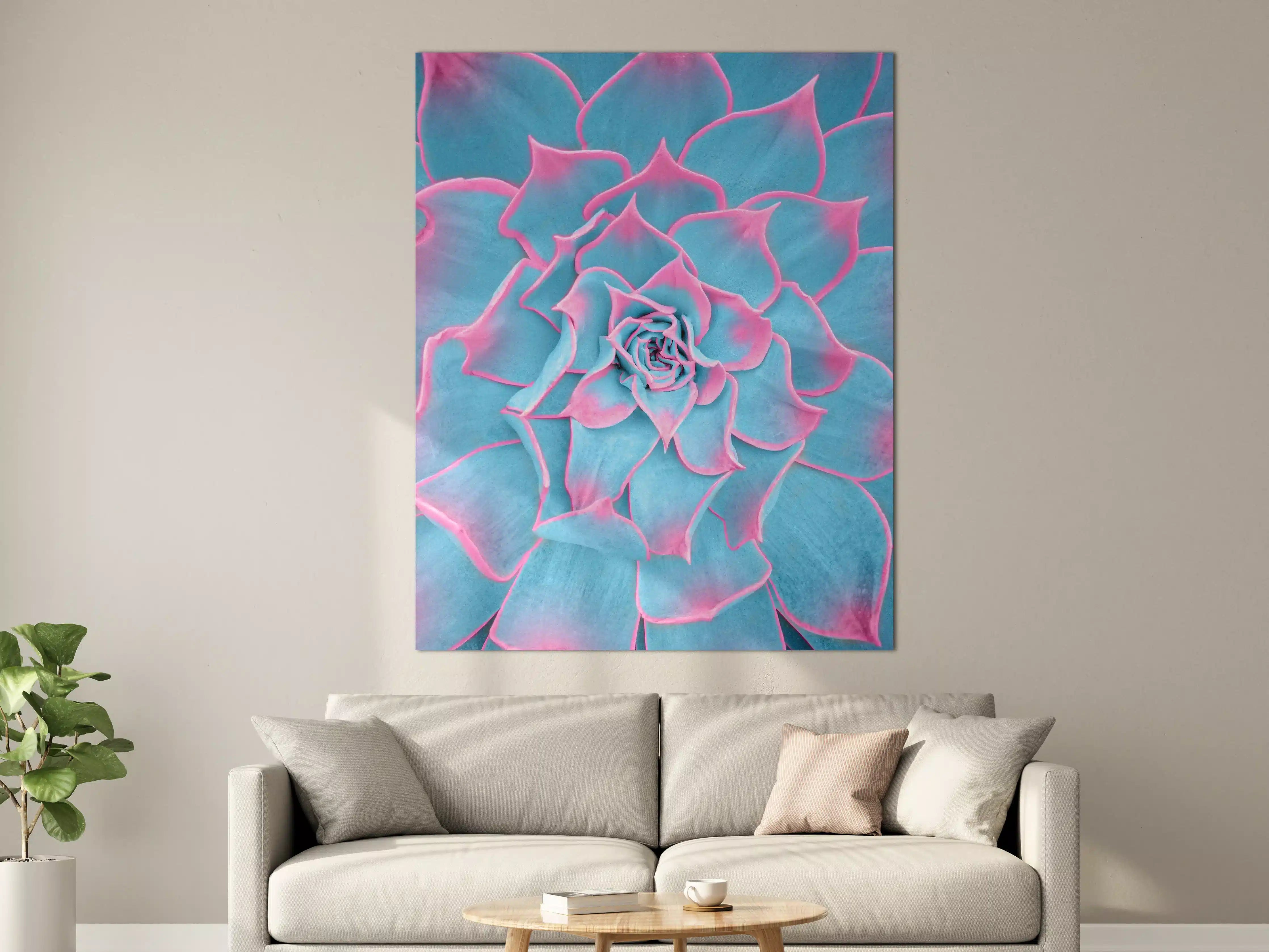 Große Wandbilder - Leuchtende Sukkulente in Pink-Blau-Tönen