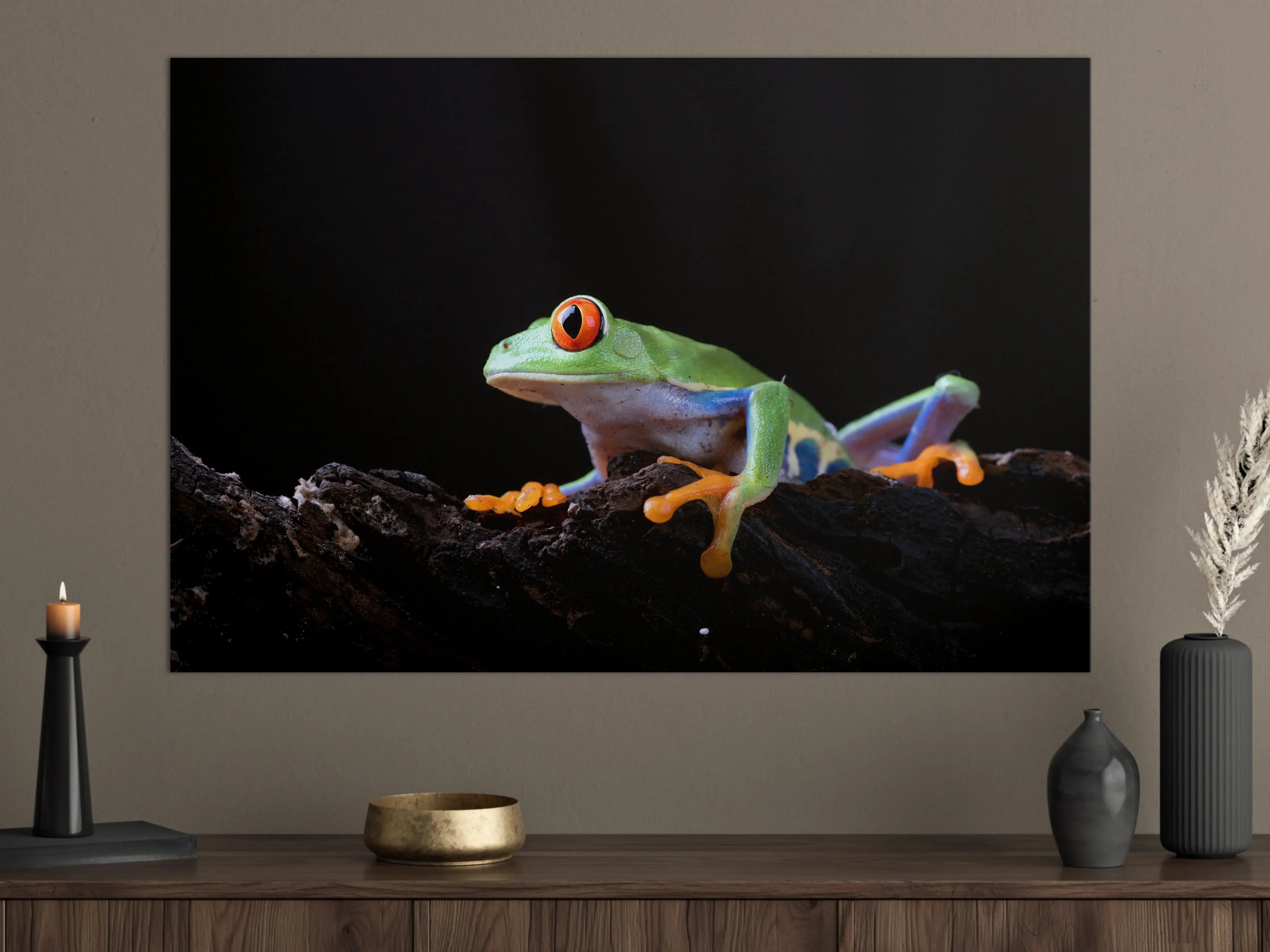 Große Wandbilder - Leuchtende Warnfarbe der Rotaugenlaubfrosch