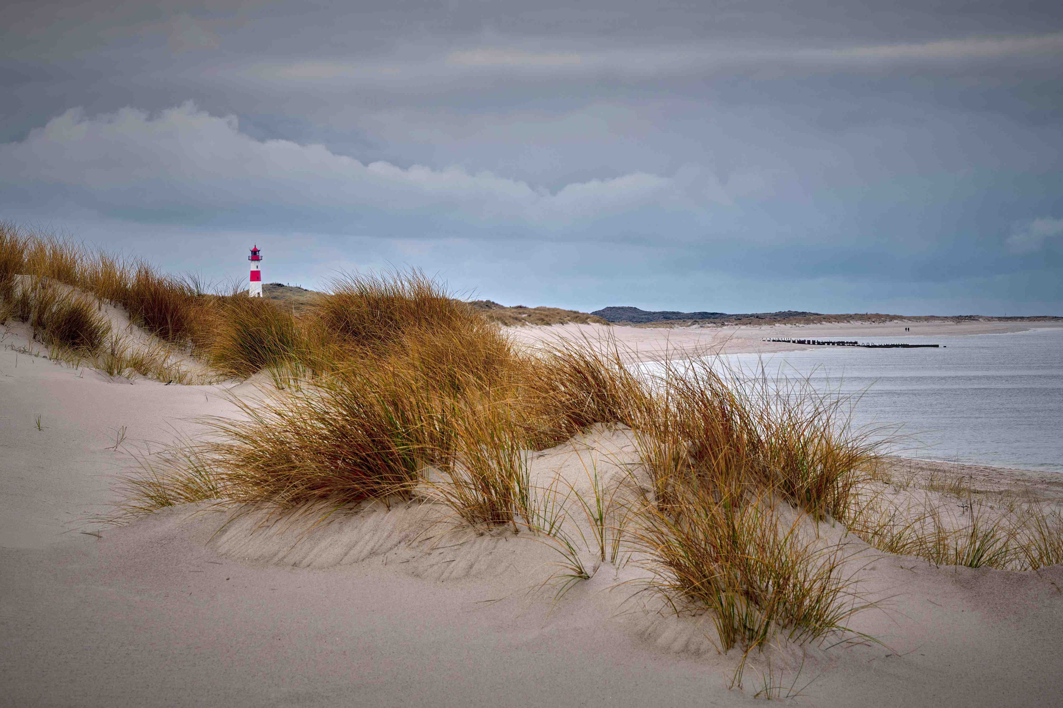 Große Wandbilder-Leuchtturm an der küstennahen Düne
