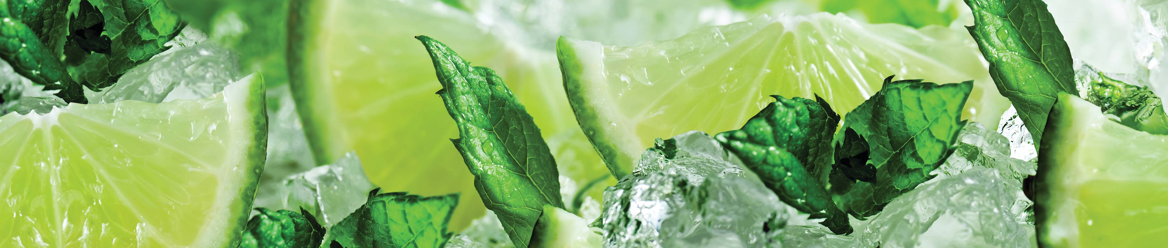 Große Wandbilder-Limette und Minzblätter mit Eis