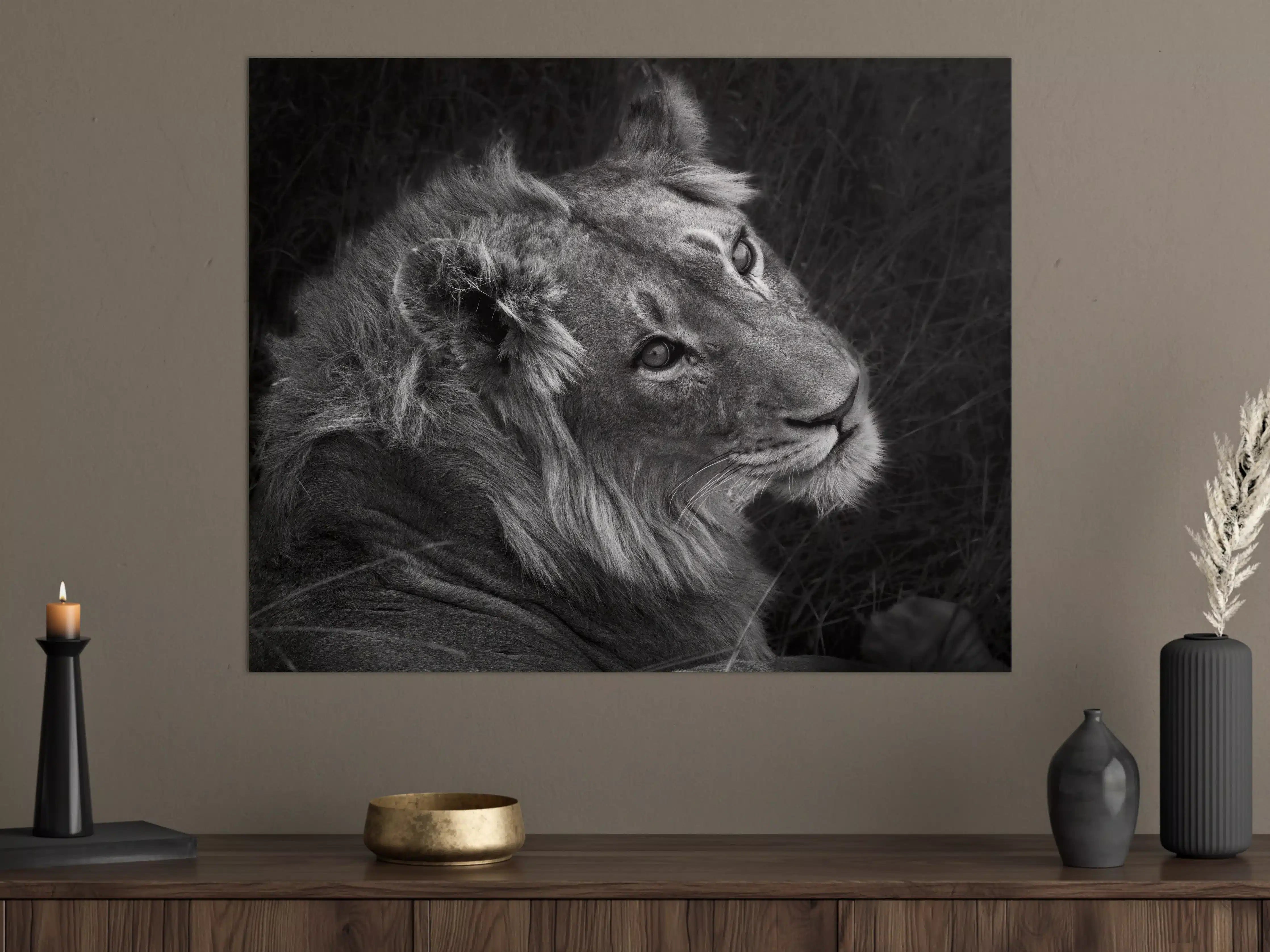 Große Wandbilder - Löwen Portrait - Schwarz-weiß