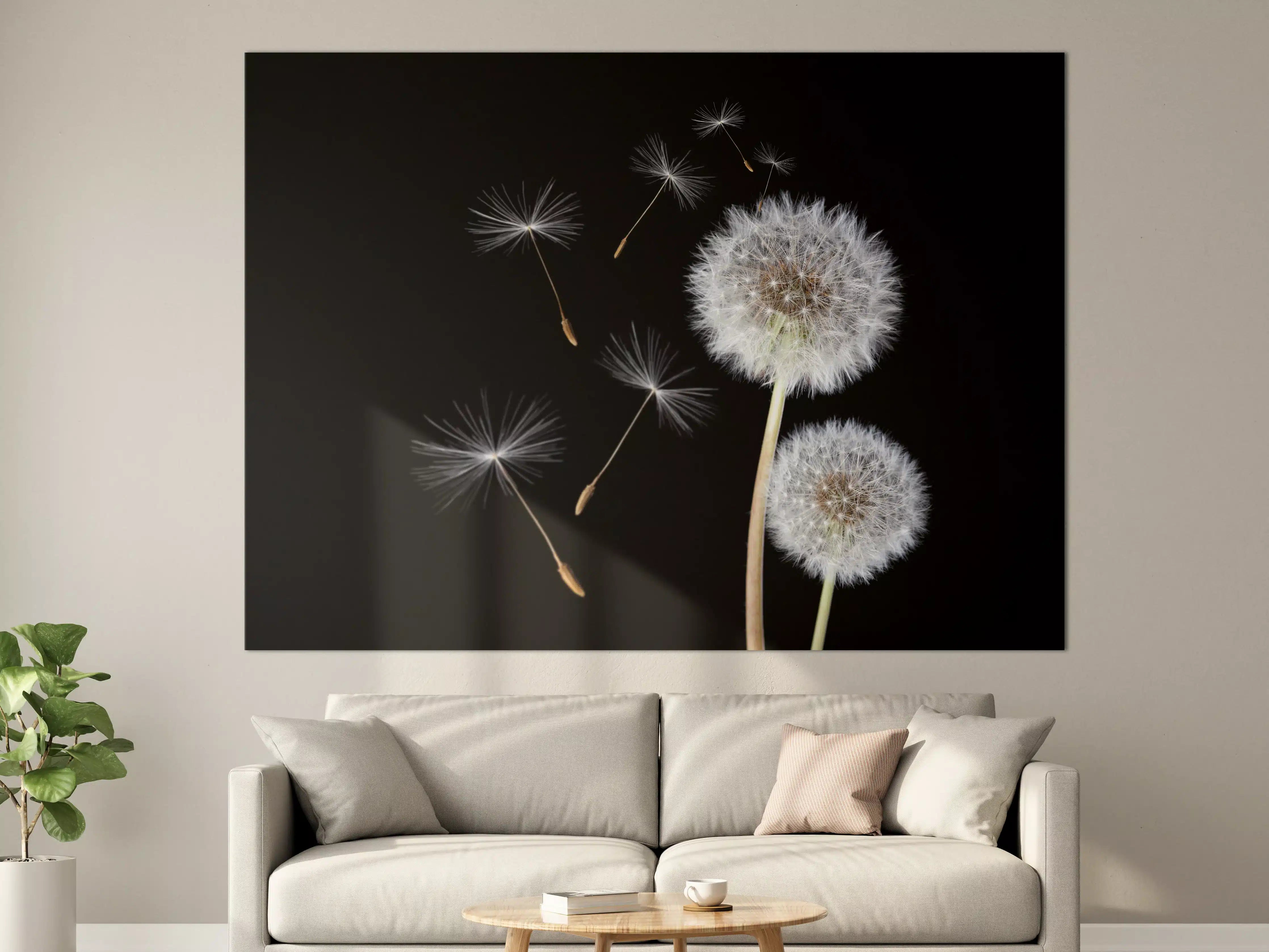 Große Wandbilder - Löwenzahn auf schwarzem Hintergrund