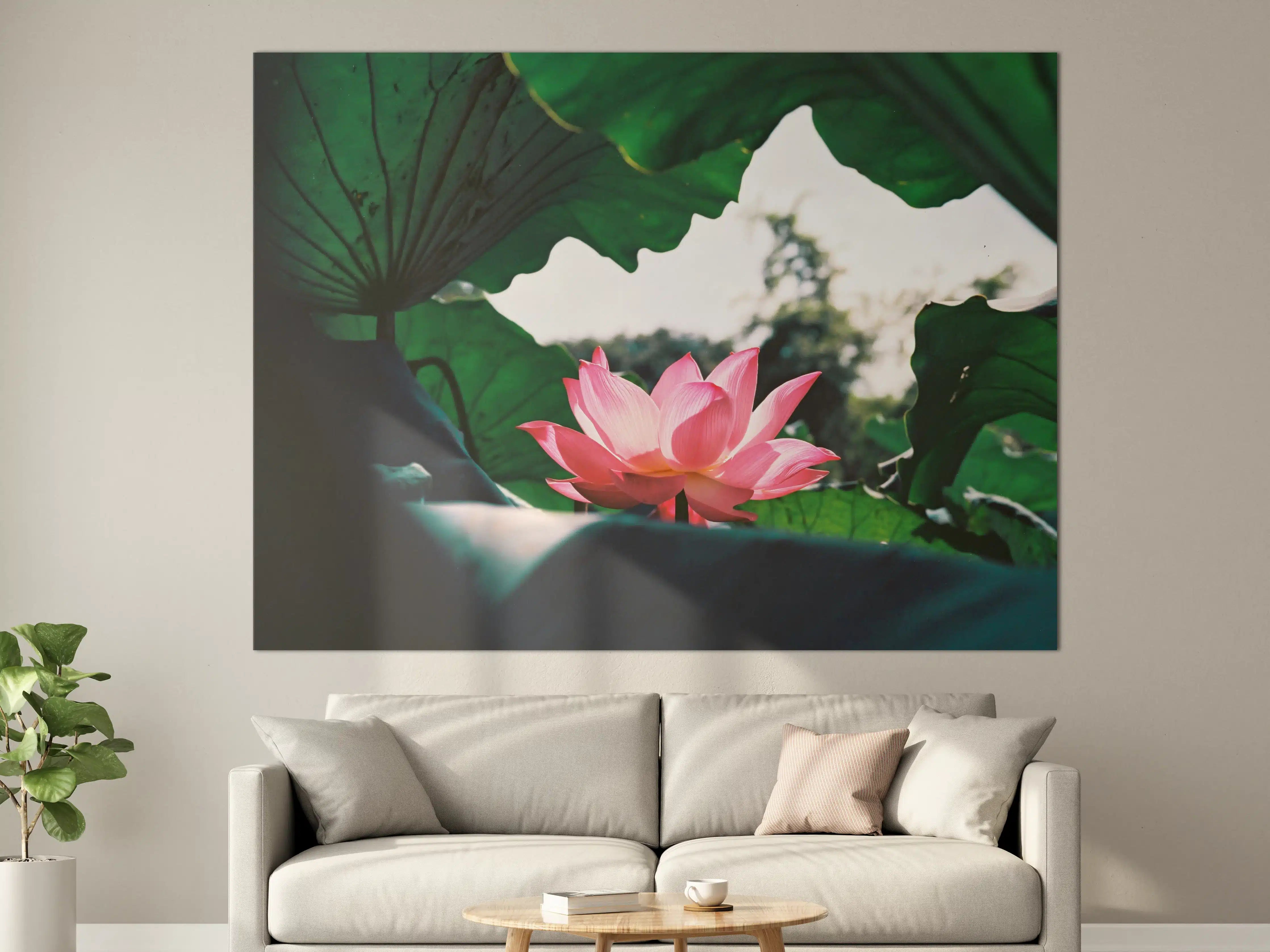 Große Wandbilder - Lotosblume inmitten von Blättern