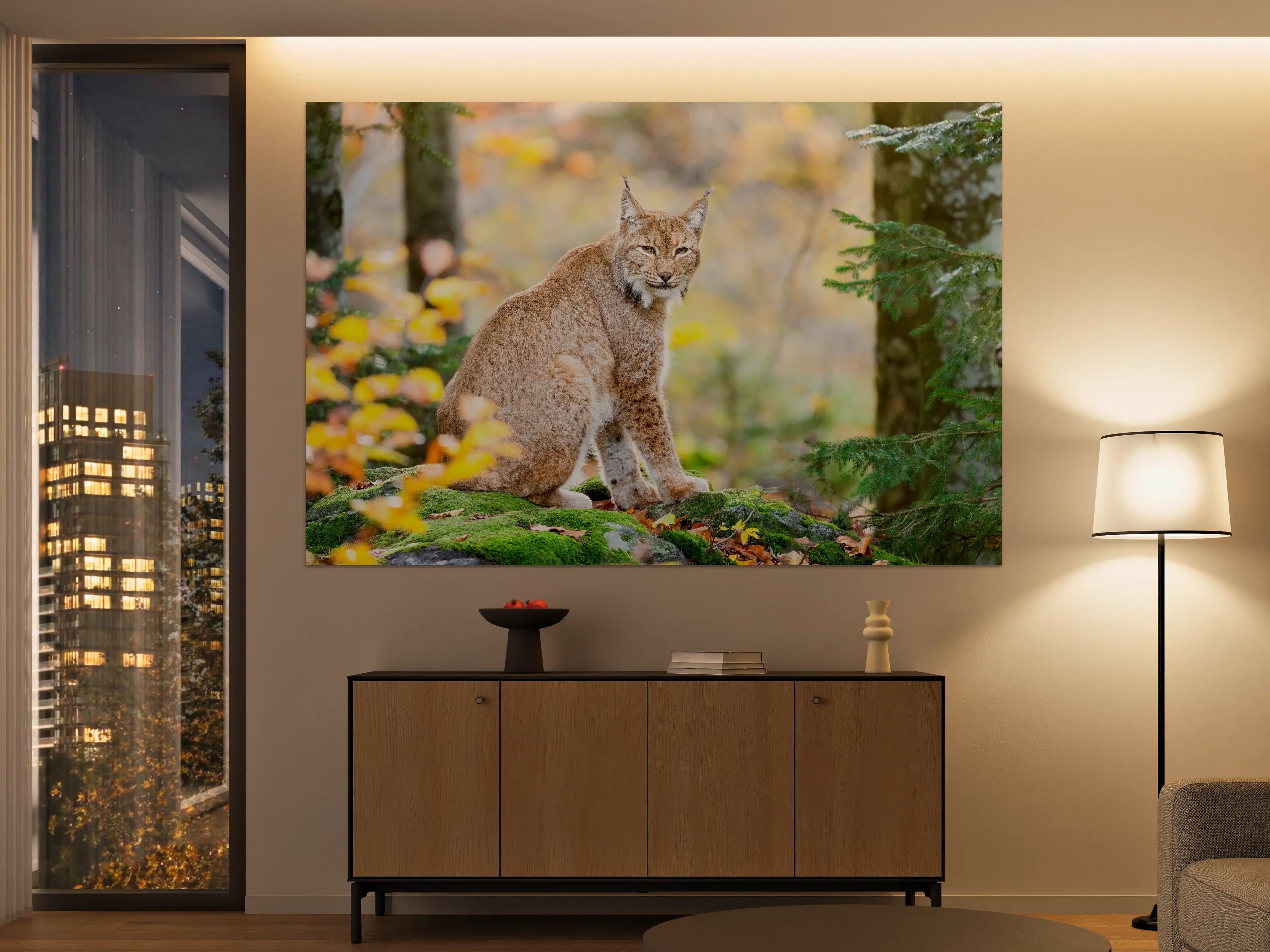 Große Wandbilder - Luchs in Herbstnatur mit bunten Blättern