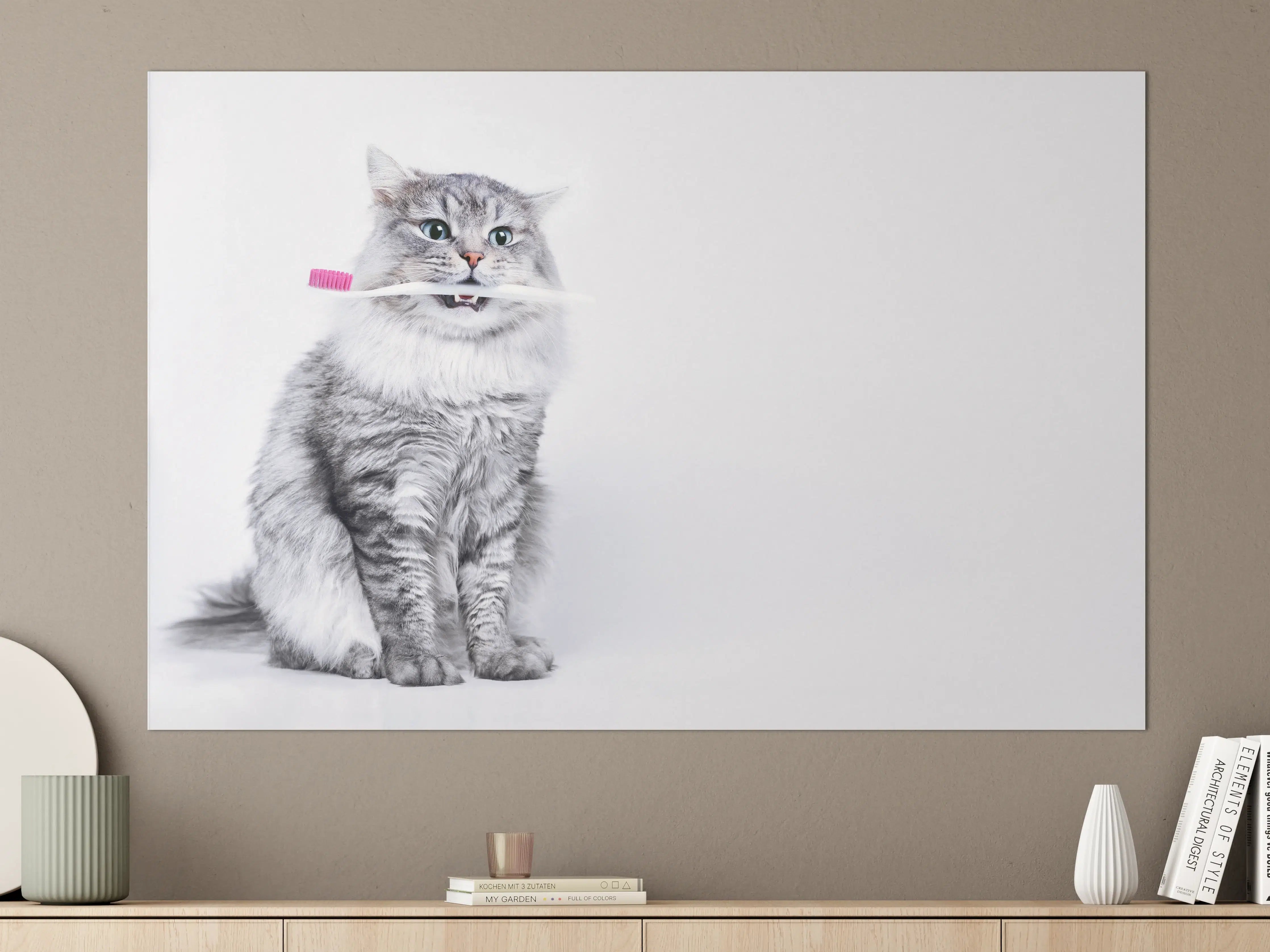 Große Wandbilder - Lustige Katze mit Zahnbürste