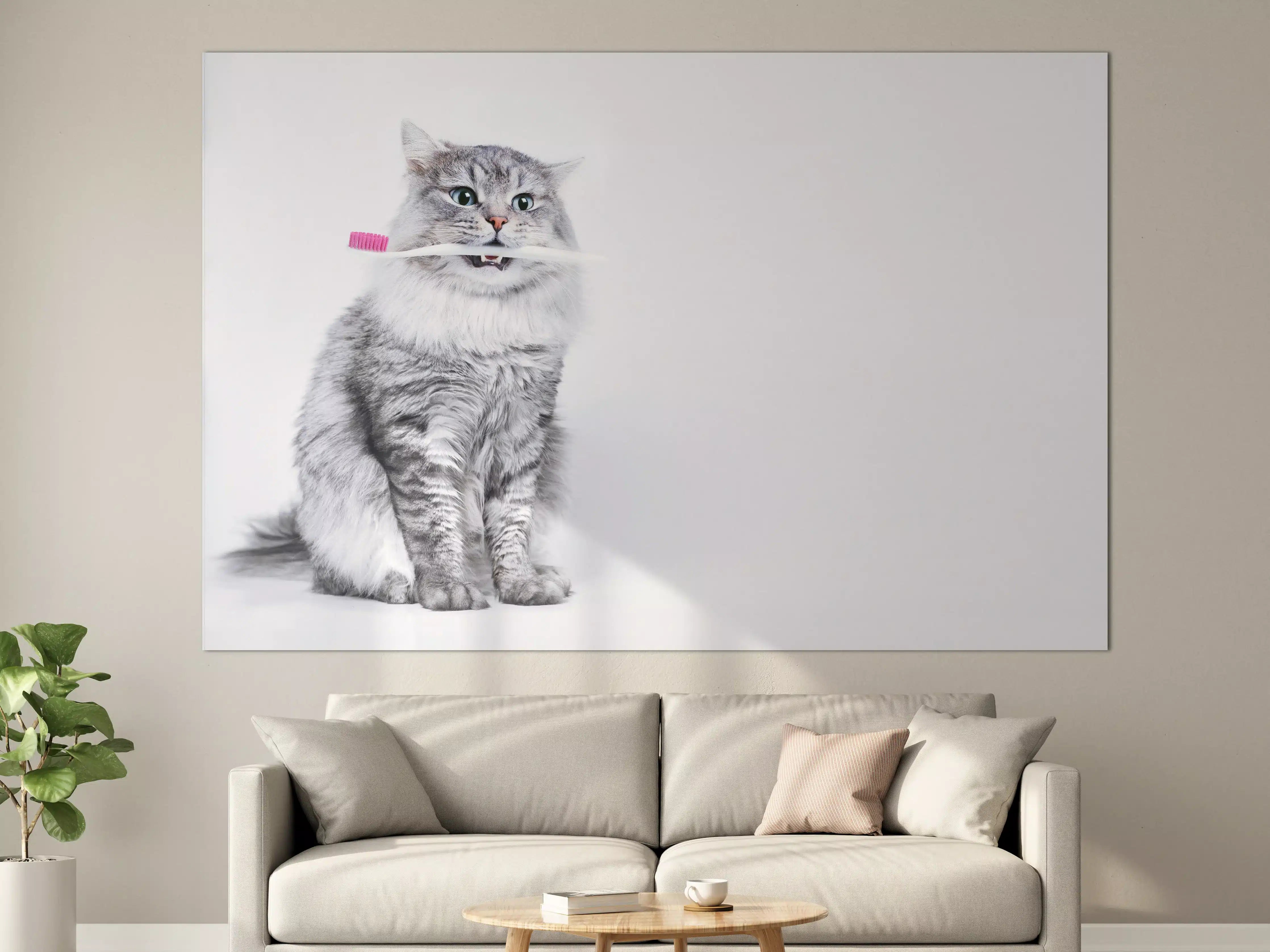Große Wandbilder - Lustige Katze mit Zahnbürste