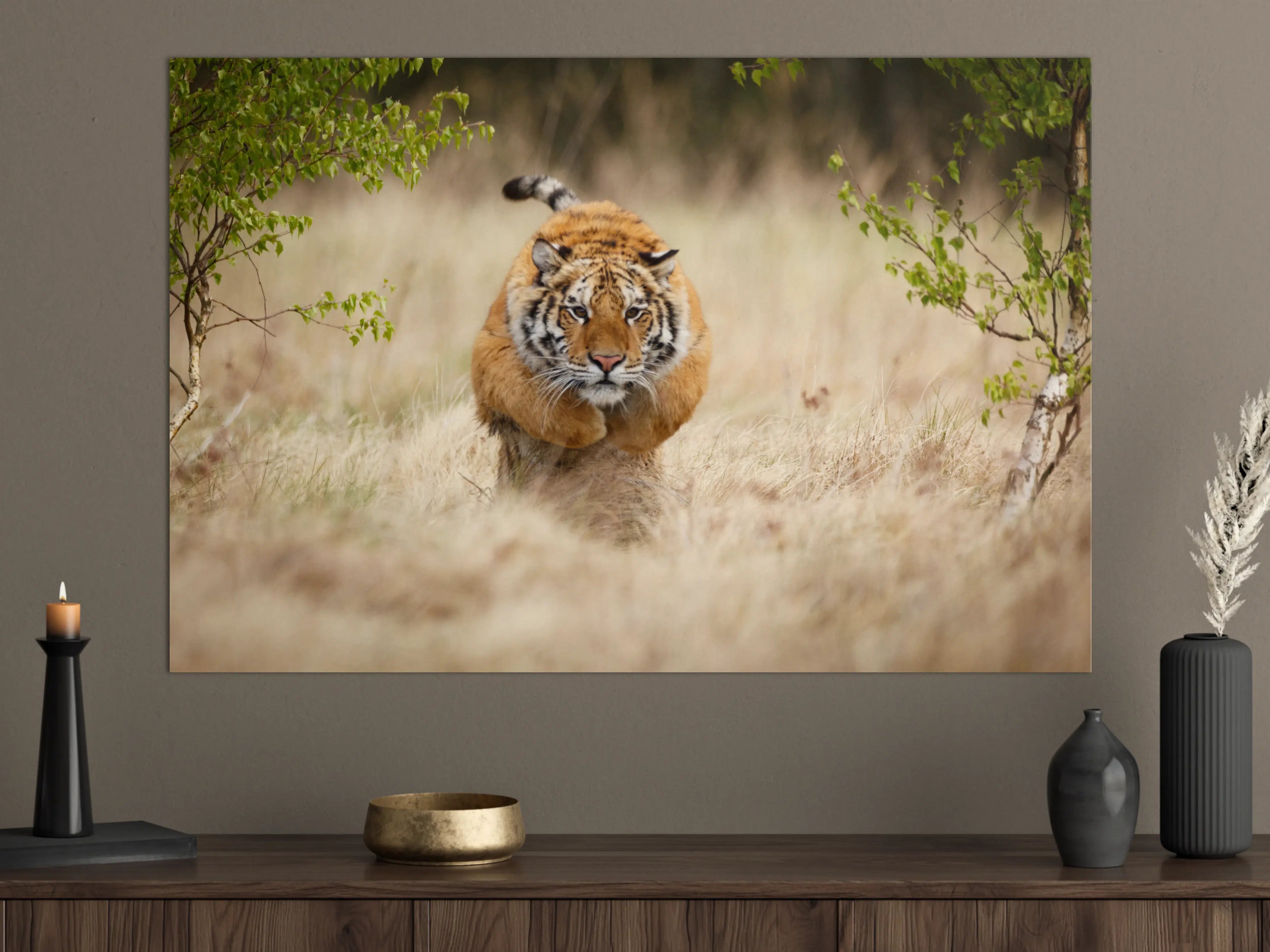 Große Wandbilder - Mächtiger Sibirischer Tiger