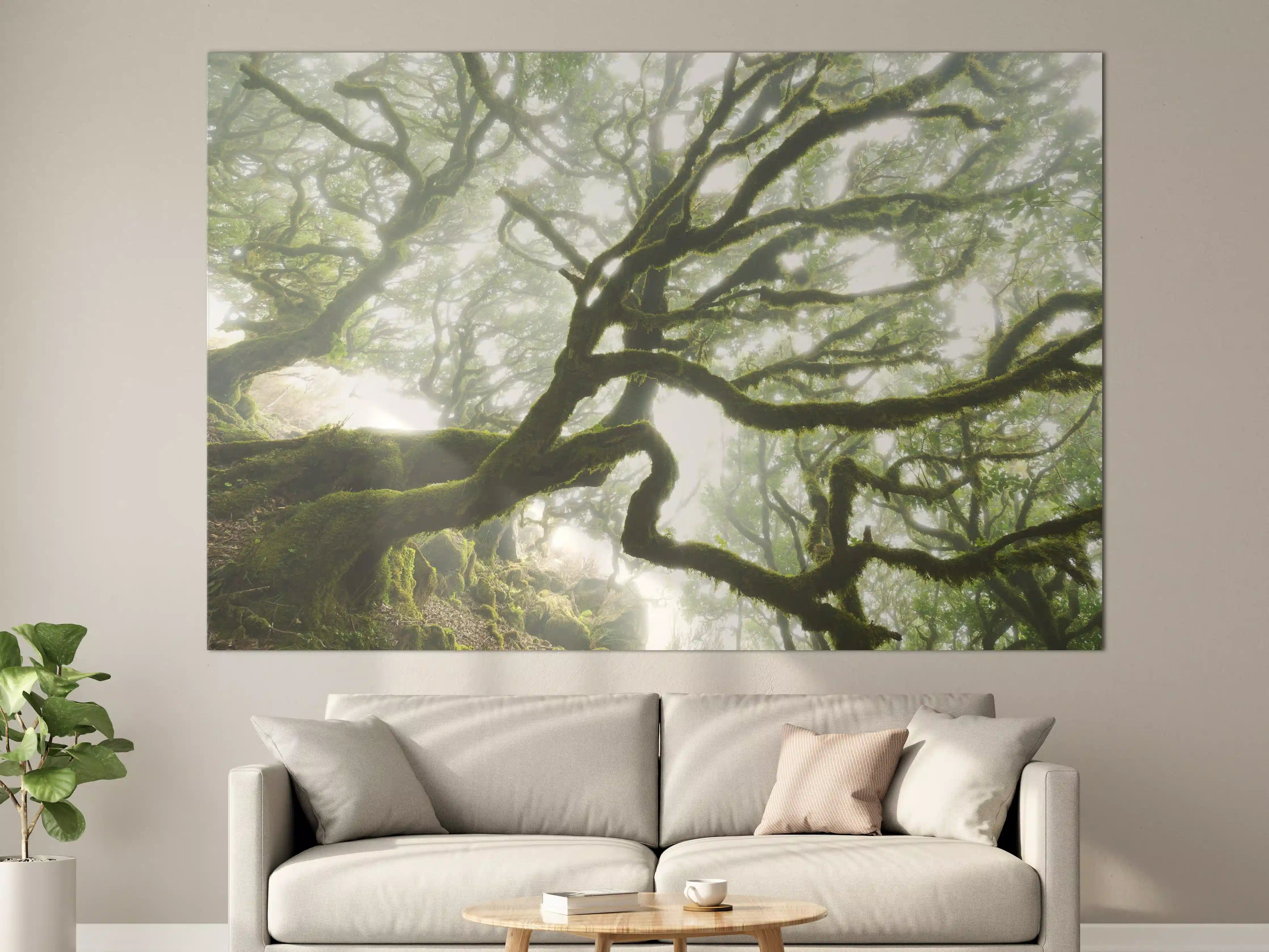Große Wandbilder - Magischer Baum