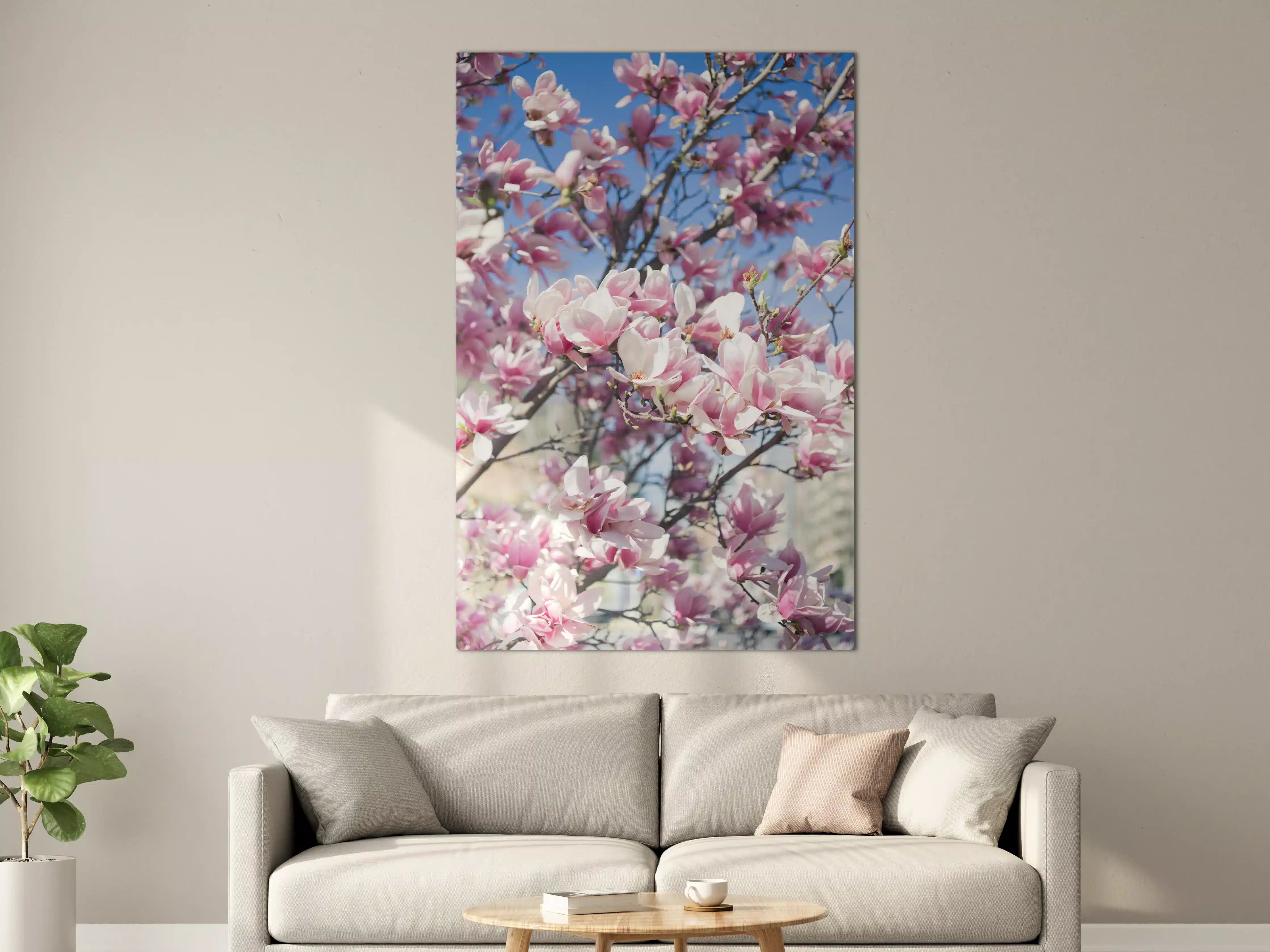 Große Wandbilder - Magnolienblüten vor blauem Himmel