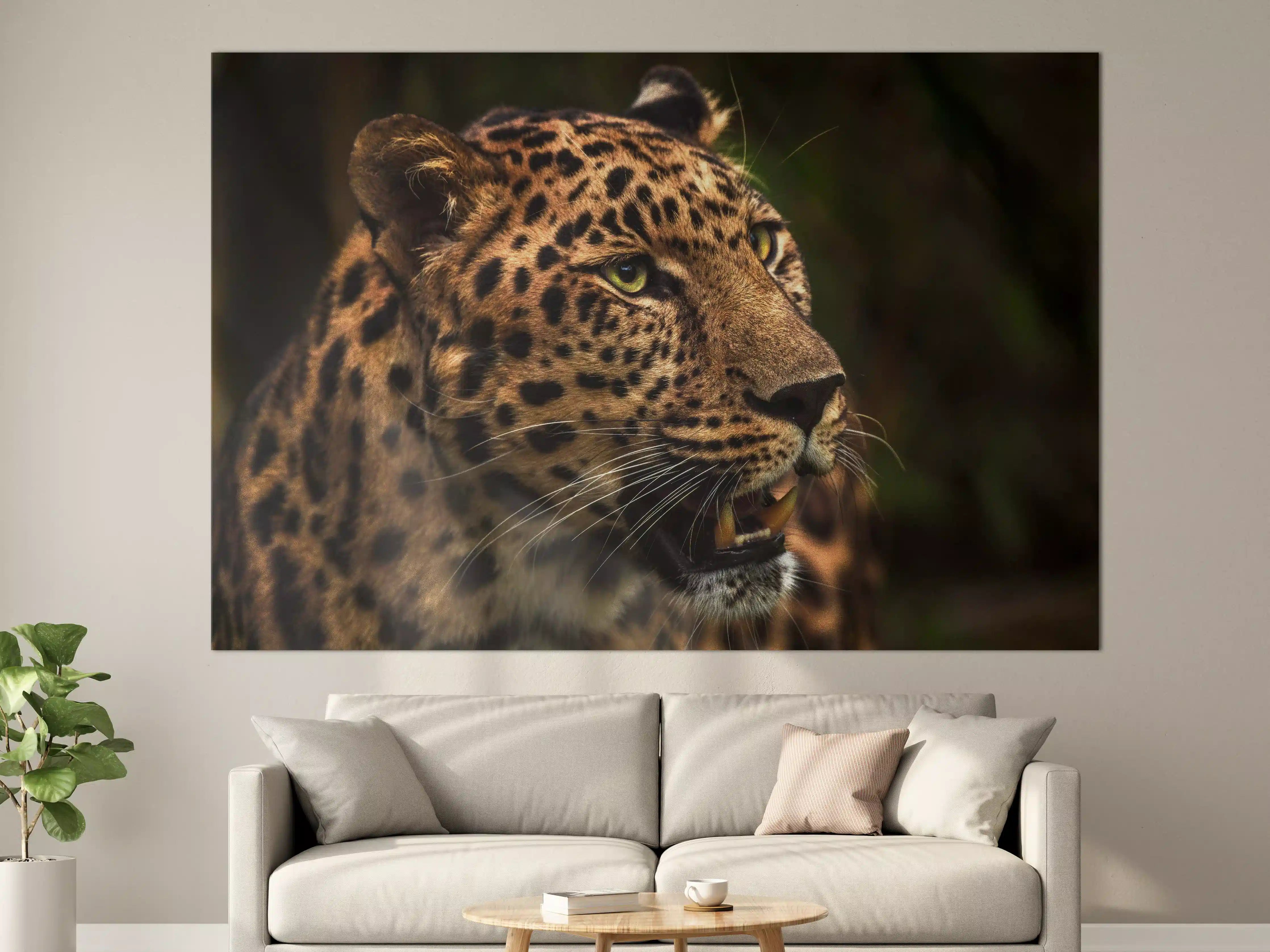 Große Wandbilder - Majestätischer Amur-Leopard