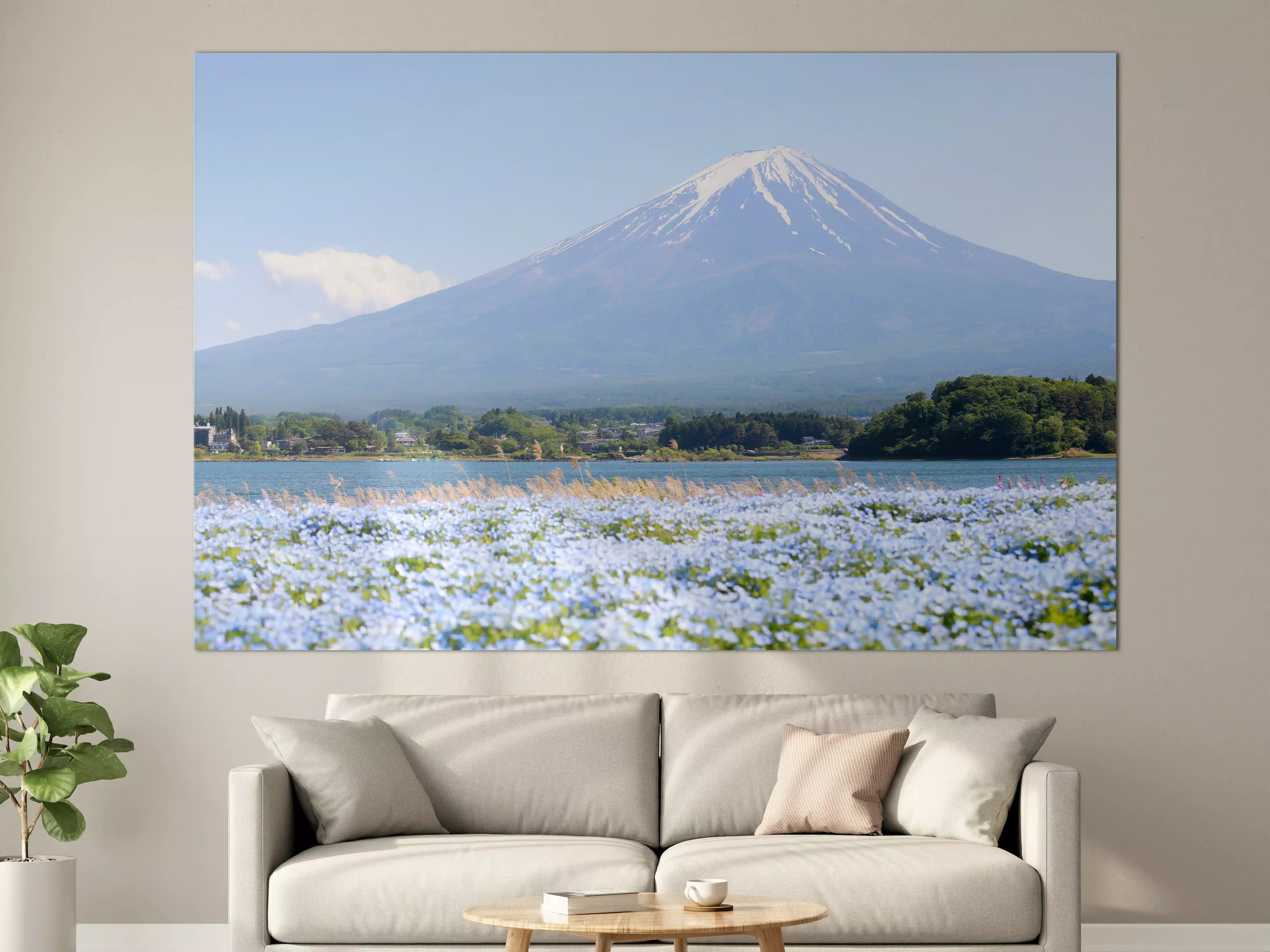 Große Wandbilder - Majestätischer Mount Fuji mit Blumenwiese
