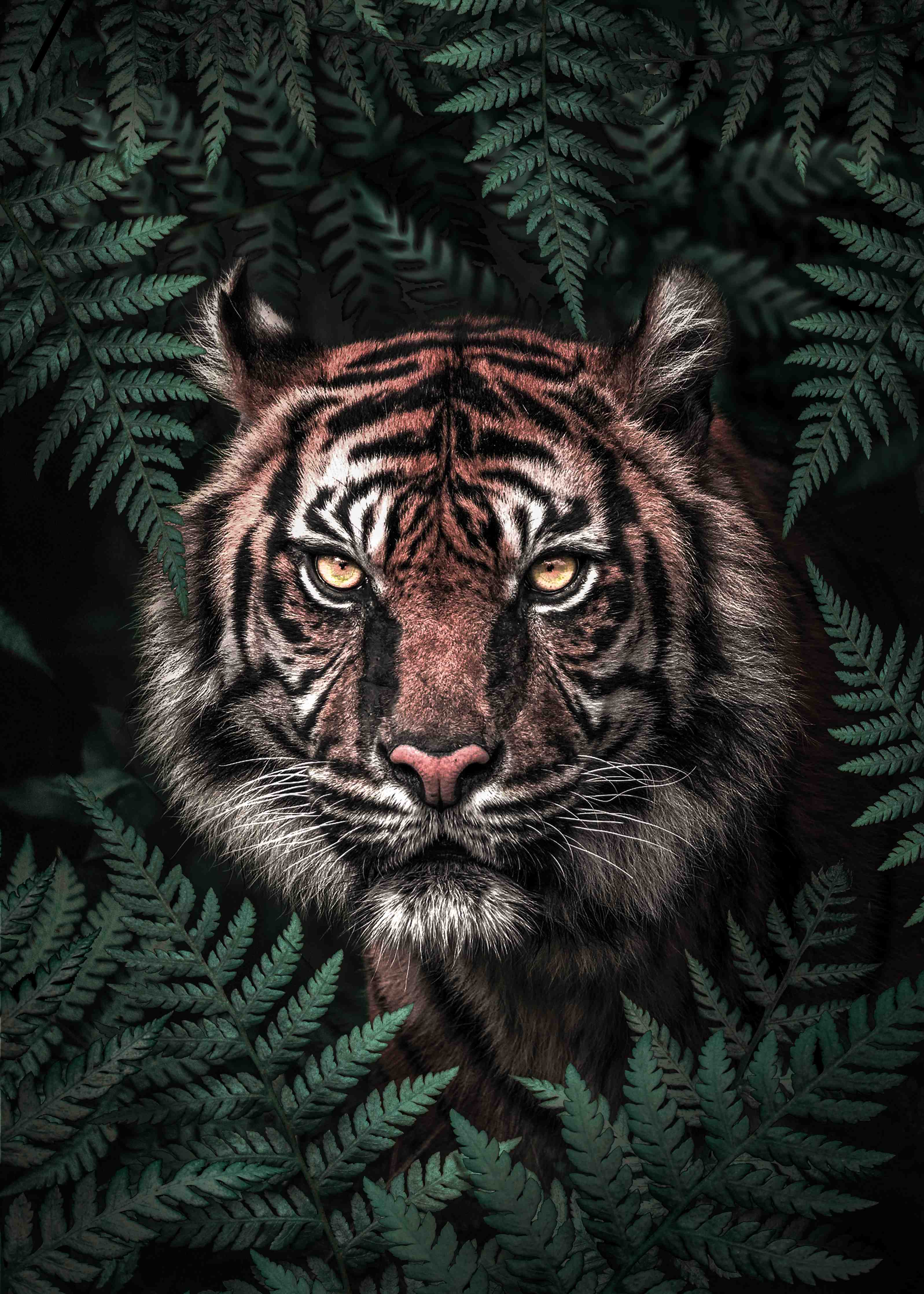 Große Wandbilder-Majestätischer Tiger in Dschungelumgebung