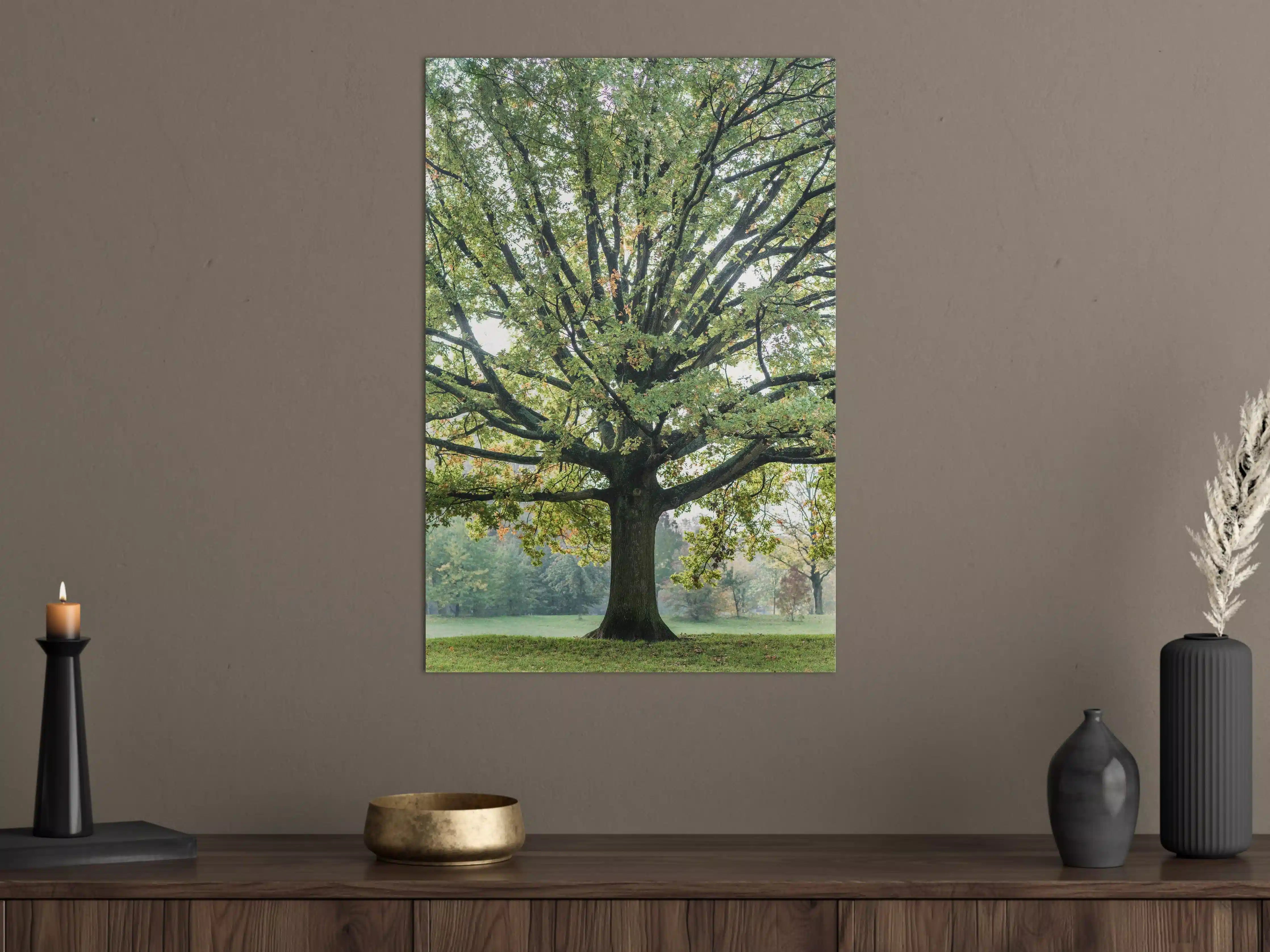 Große Wandbilder - Majestischer Baum in grüner Natur