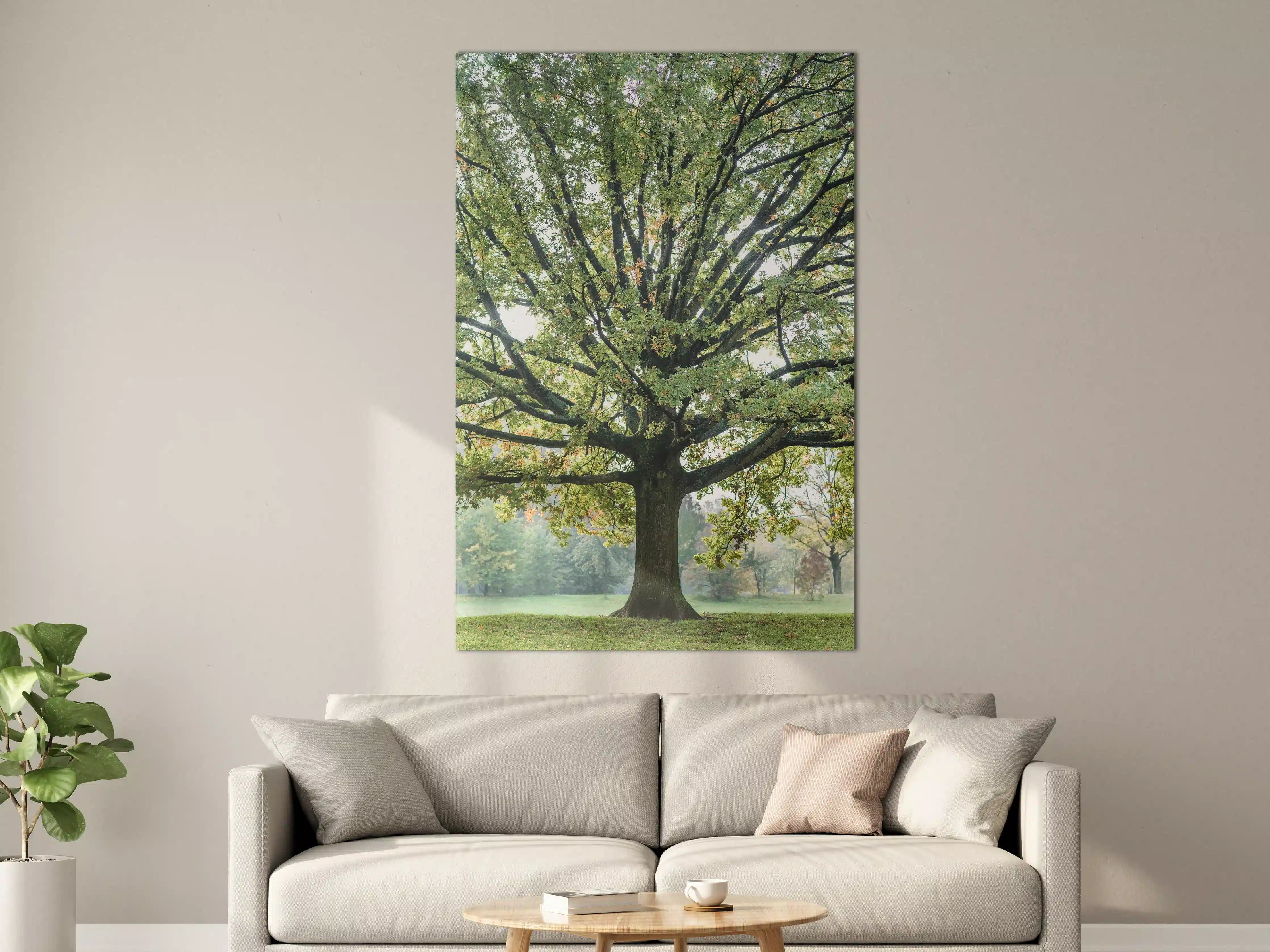 Große Wandbilder - Majestischer Baum in grüner Natur