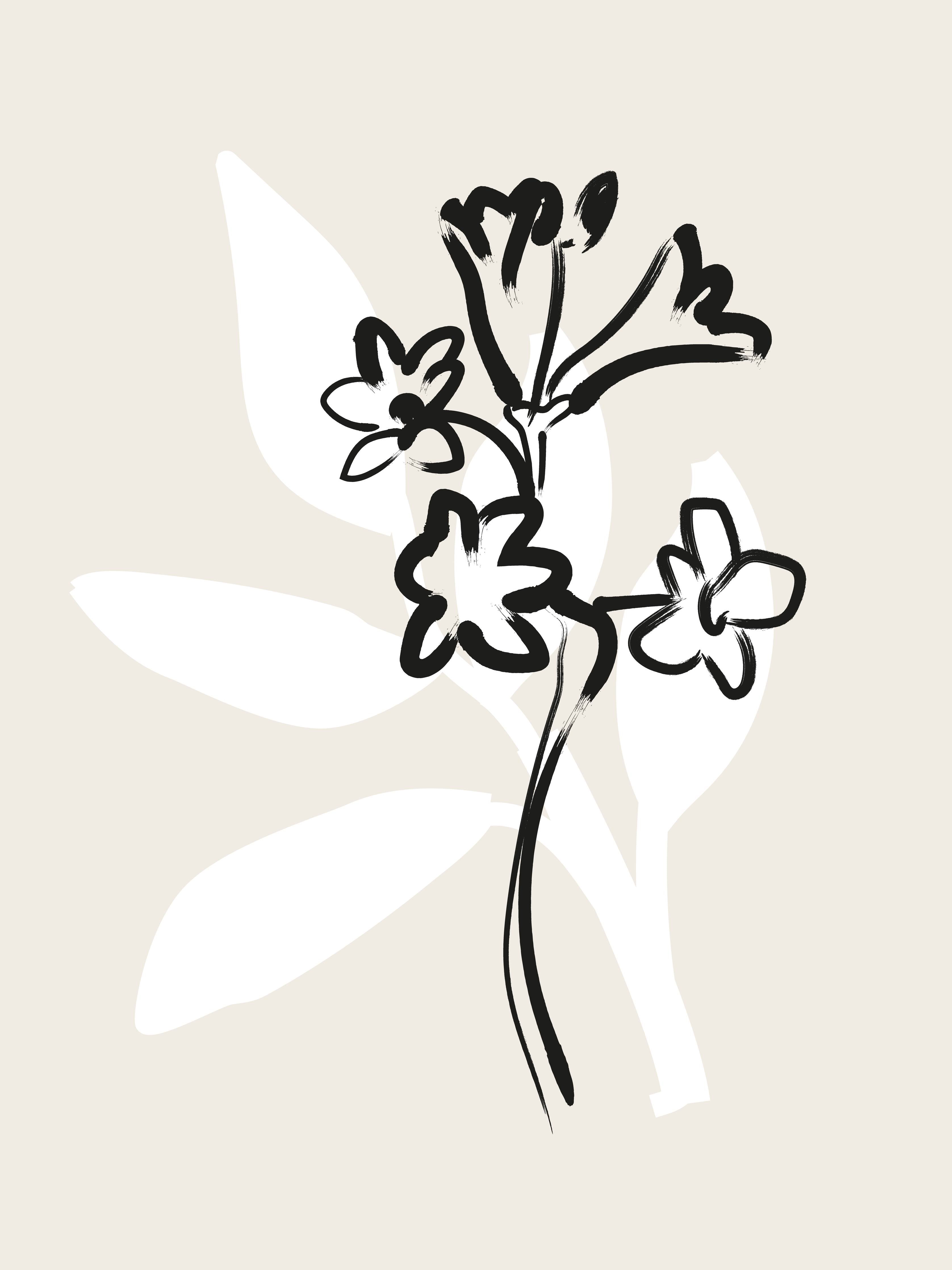 Große Wandbilder-Minimalistische Blumenzeichnung in Schwarz-Weiß