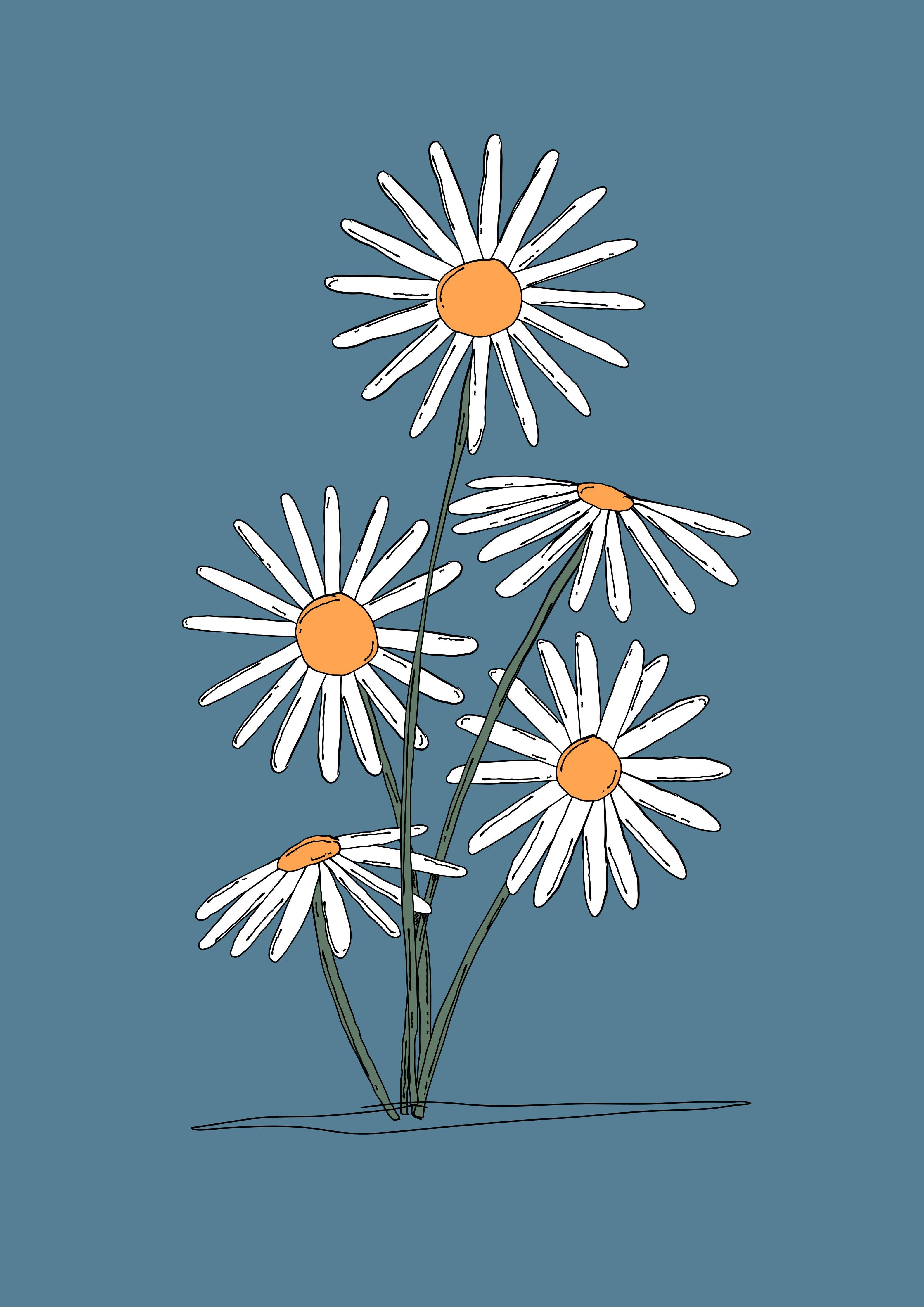 Große Wandbilder-Moderne Gerbera Blumenzeichnung auf Blau