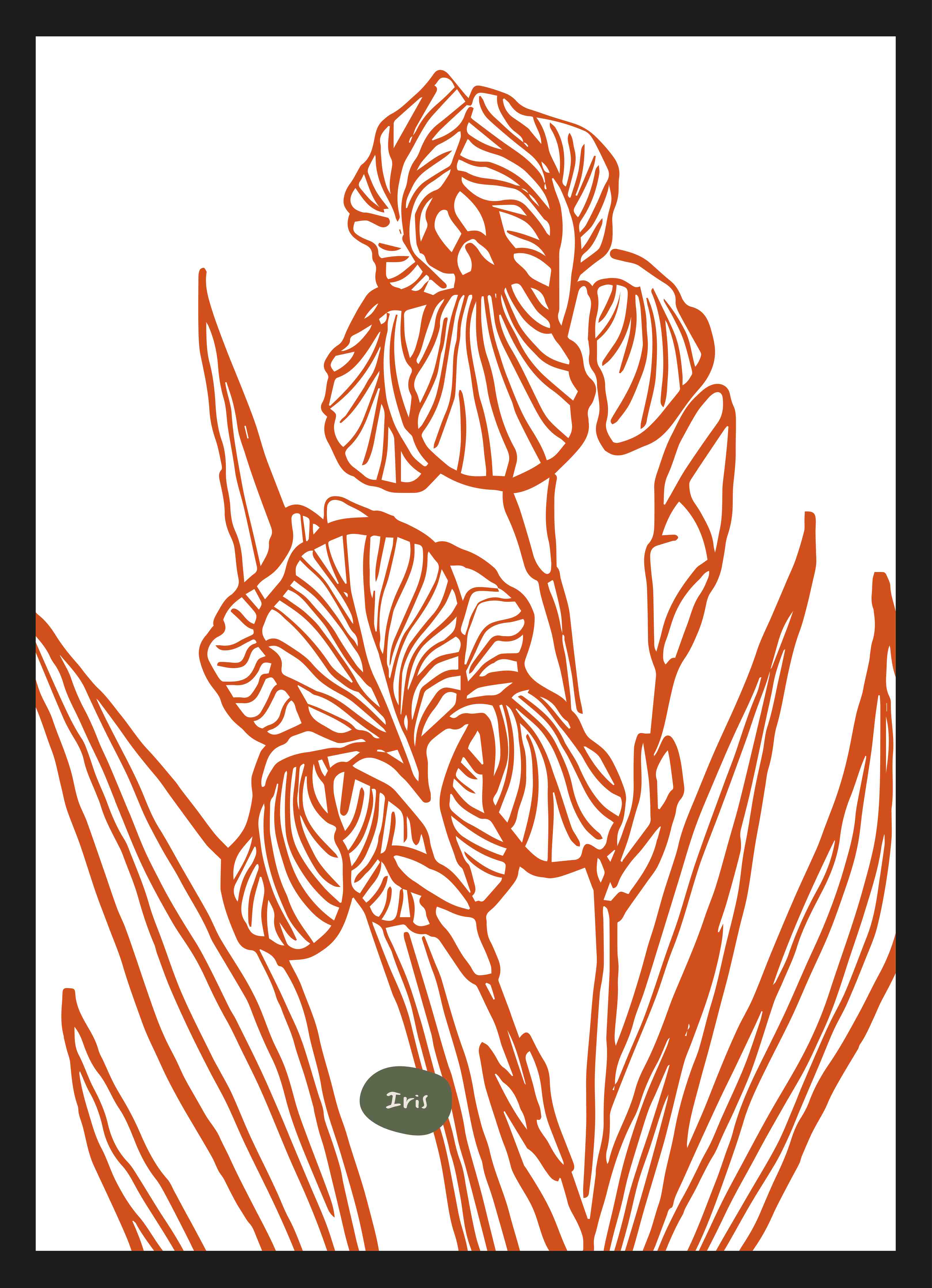 Große Wandbilder-Moderne Orange Iris Illustration