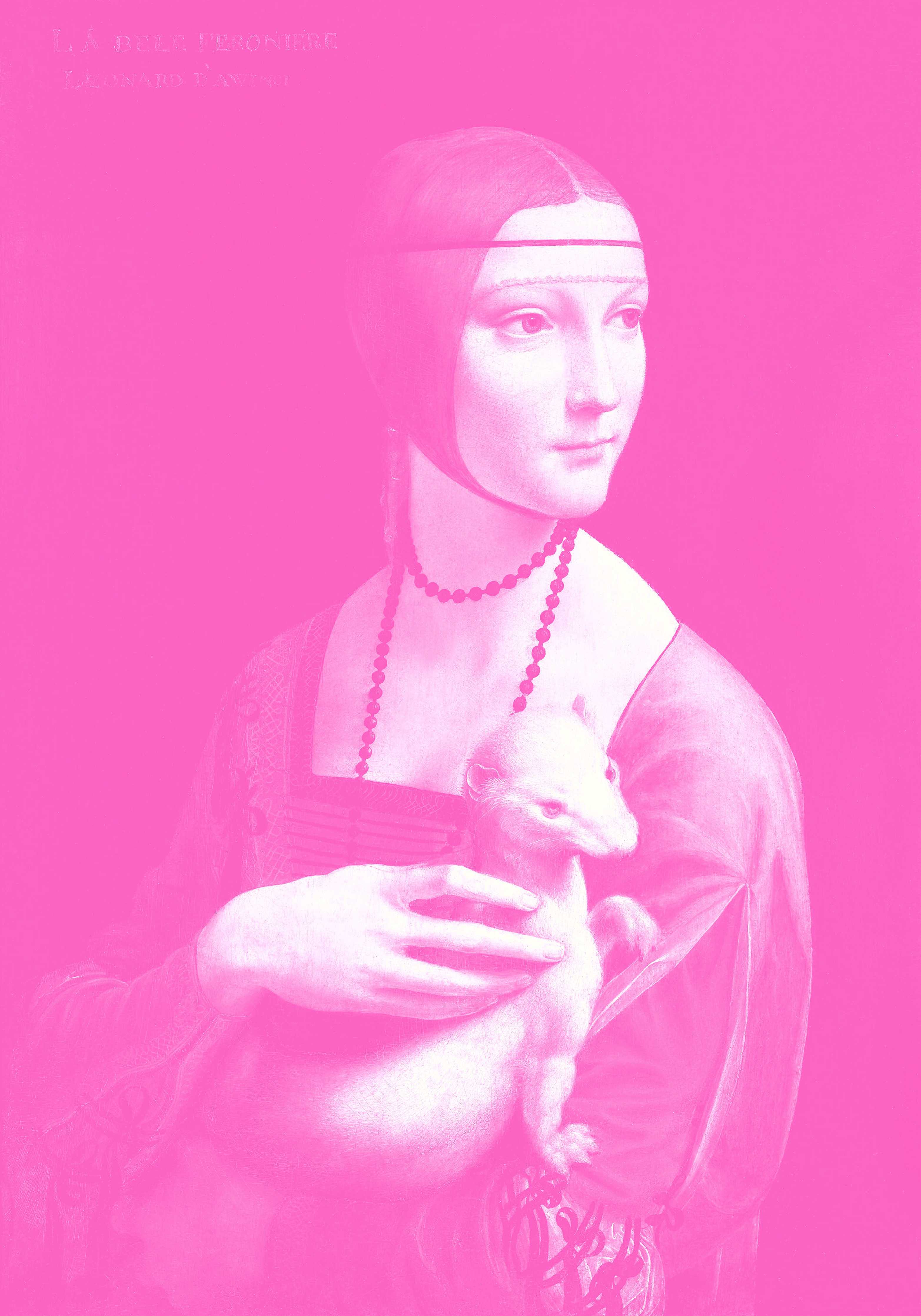 Große Wandbilder-Moderne Pink-Farbige Kunstfotografie