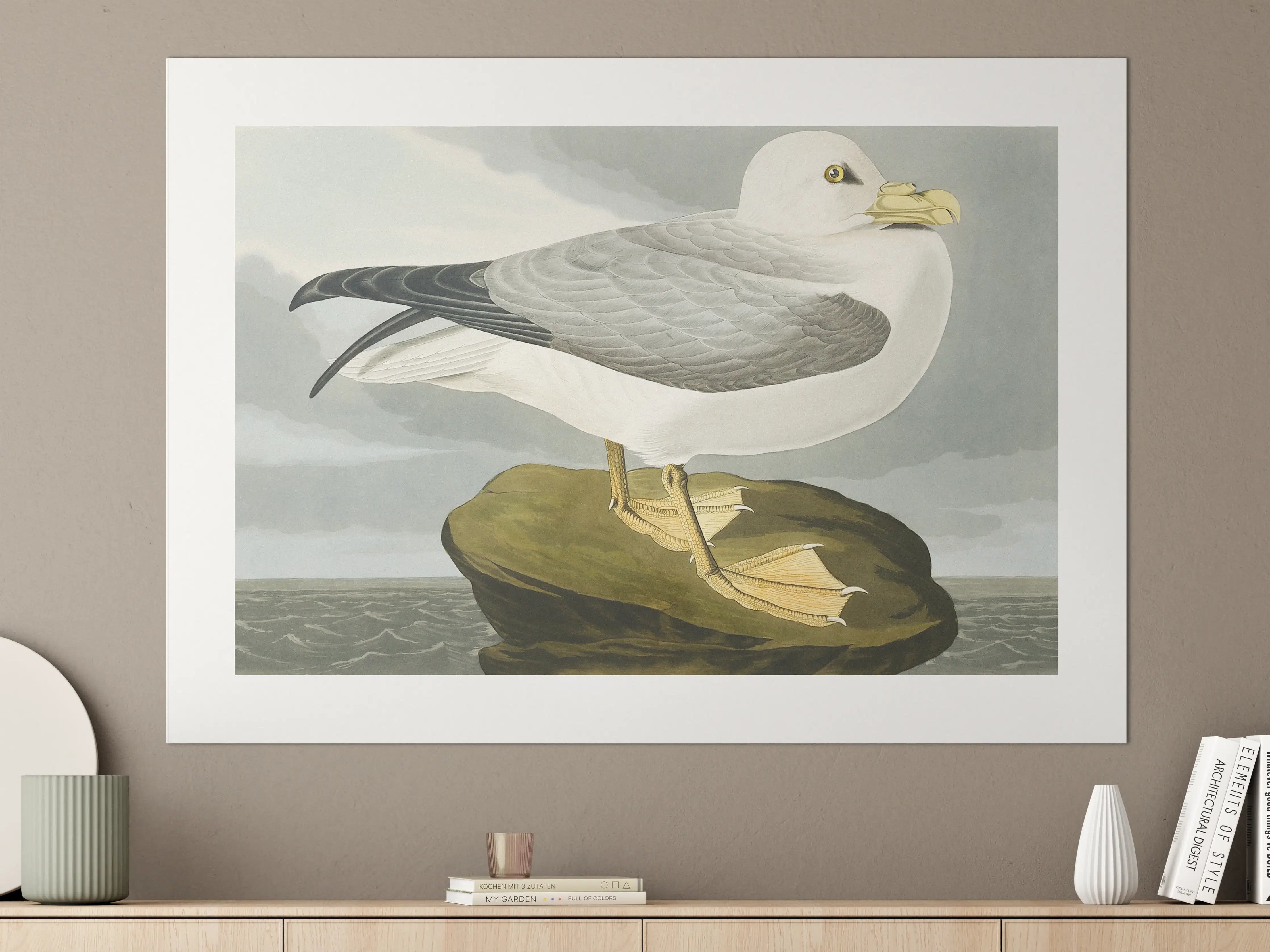 Große Wandbilder - Möwe im Meer - Robert Havell