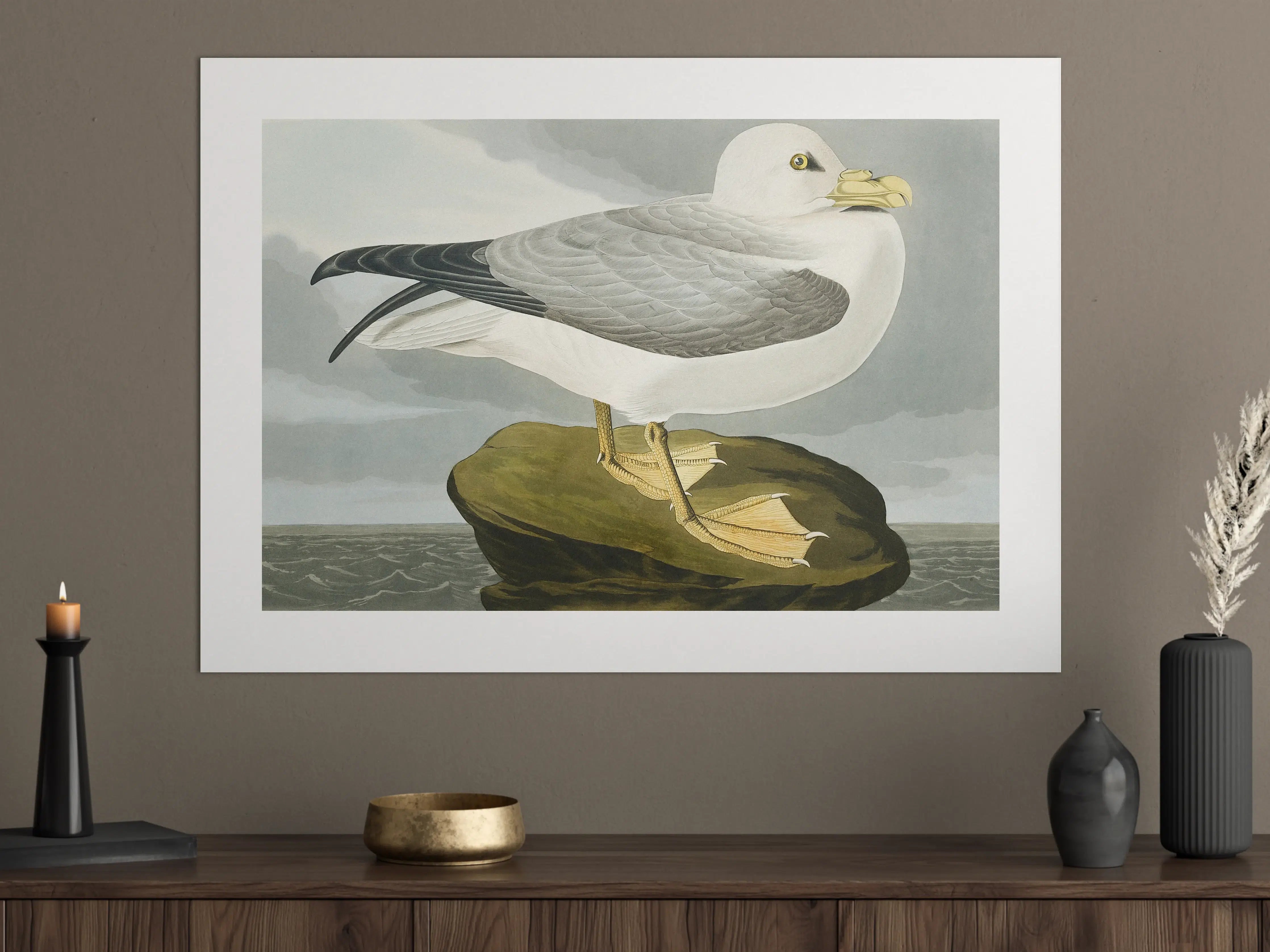 Große Wandbilder - Möwe im Meer - Robert Havell
