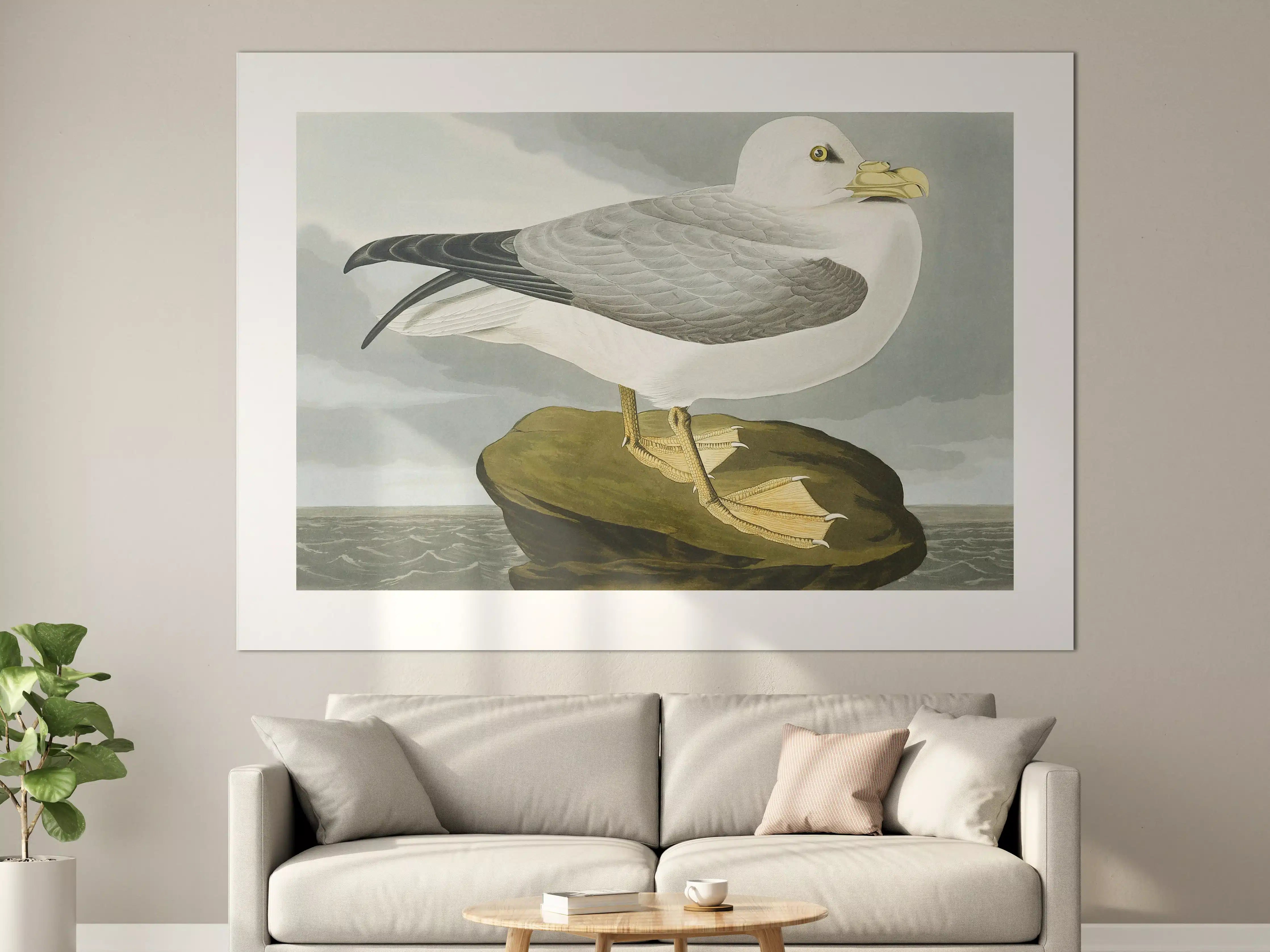Große Wandbilder - Möwe im Meer - Robert Havell