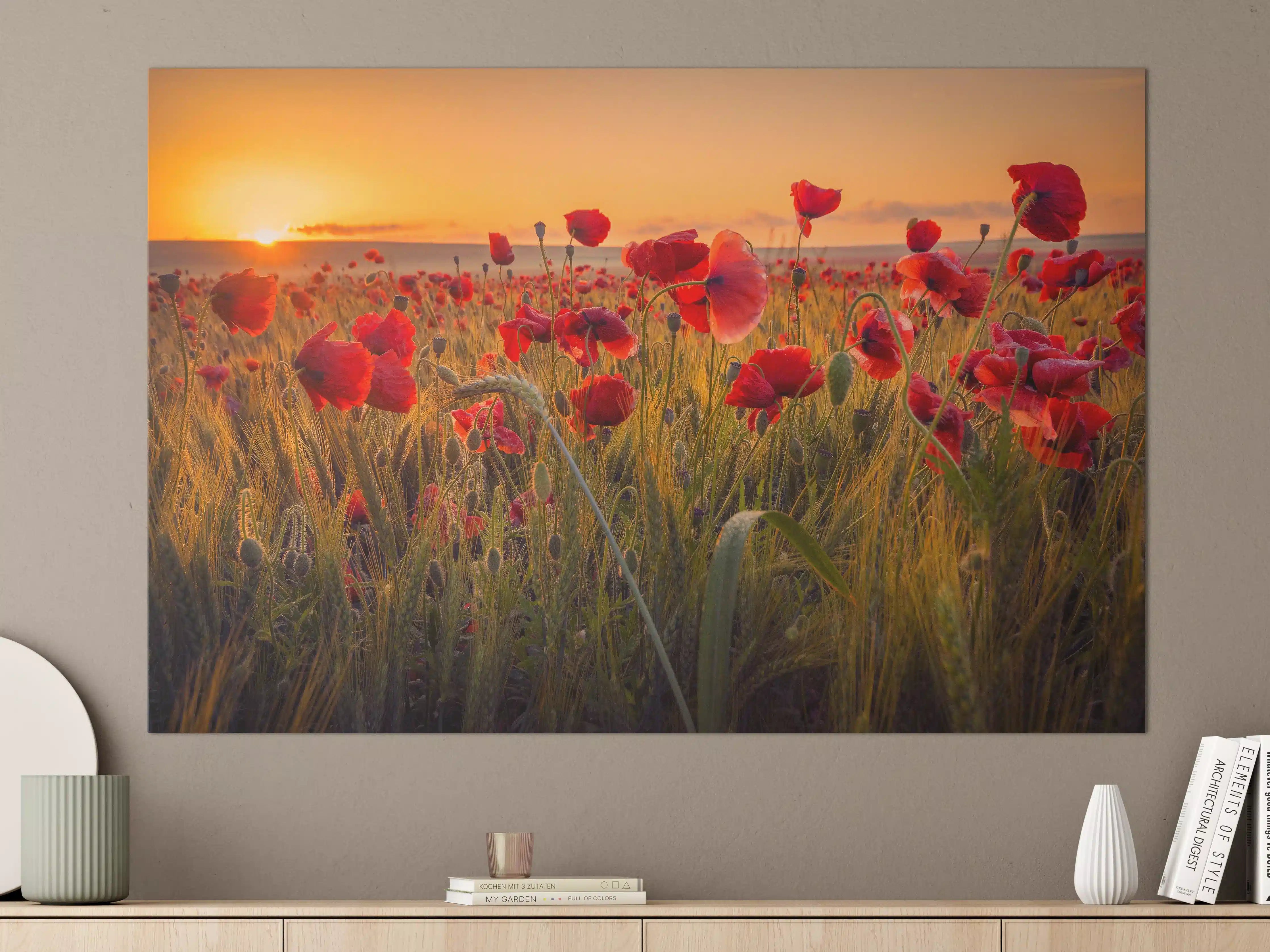 Große Wandbilder - Mohnblumen beim Sonnenuntergang
