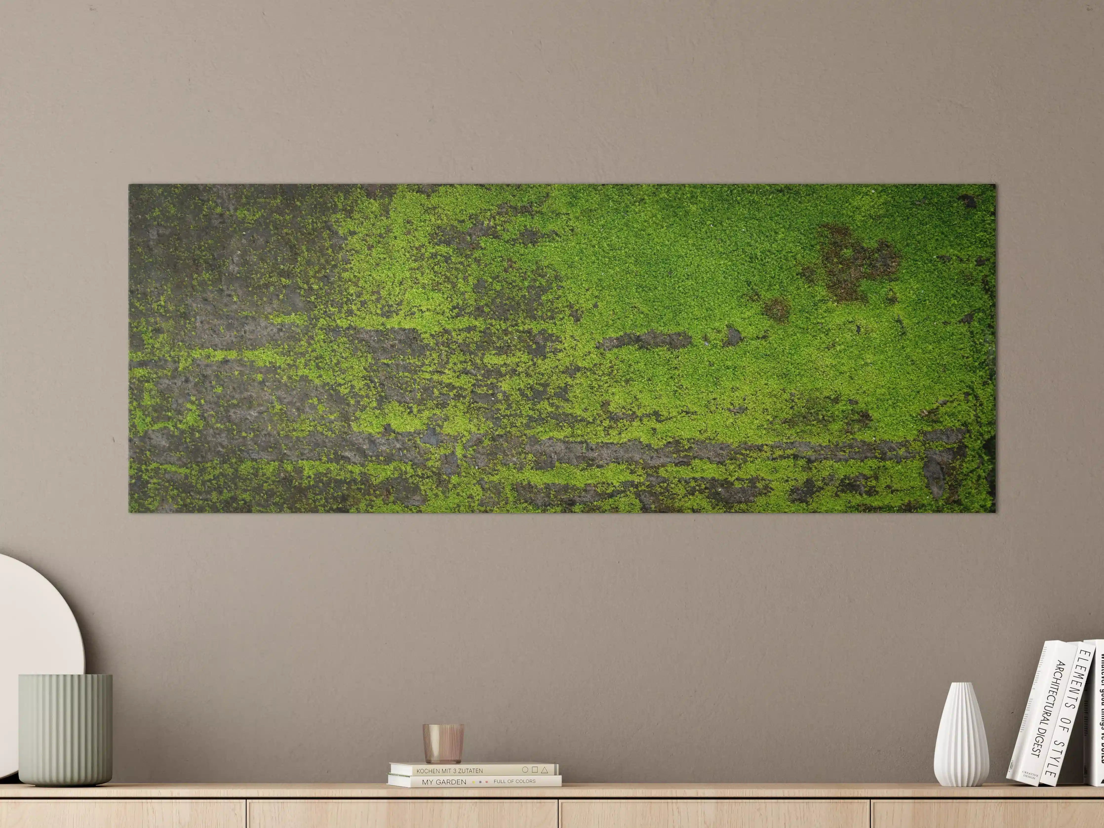 Große Wandbilder - Moosgrün Grunge Textur Banner