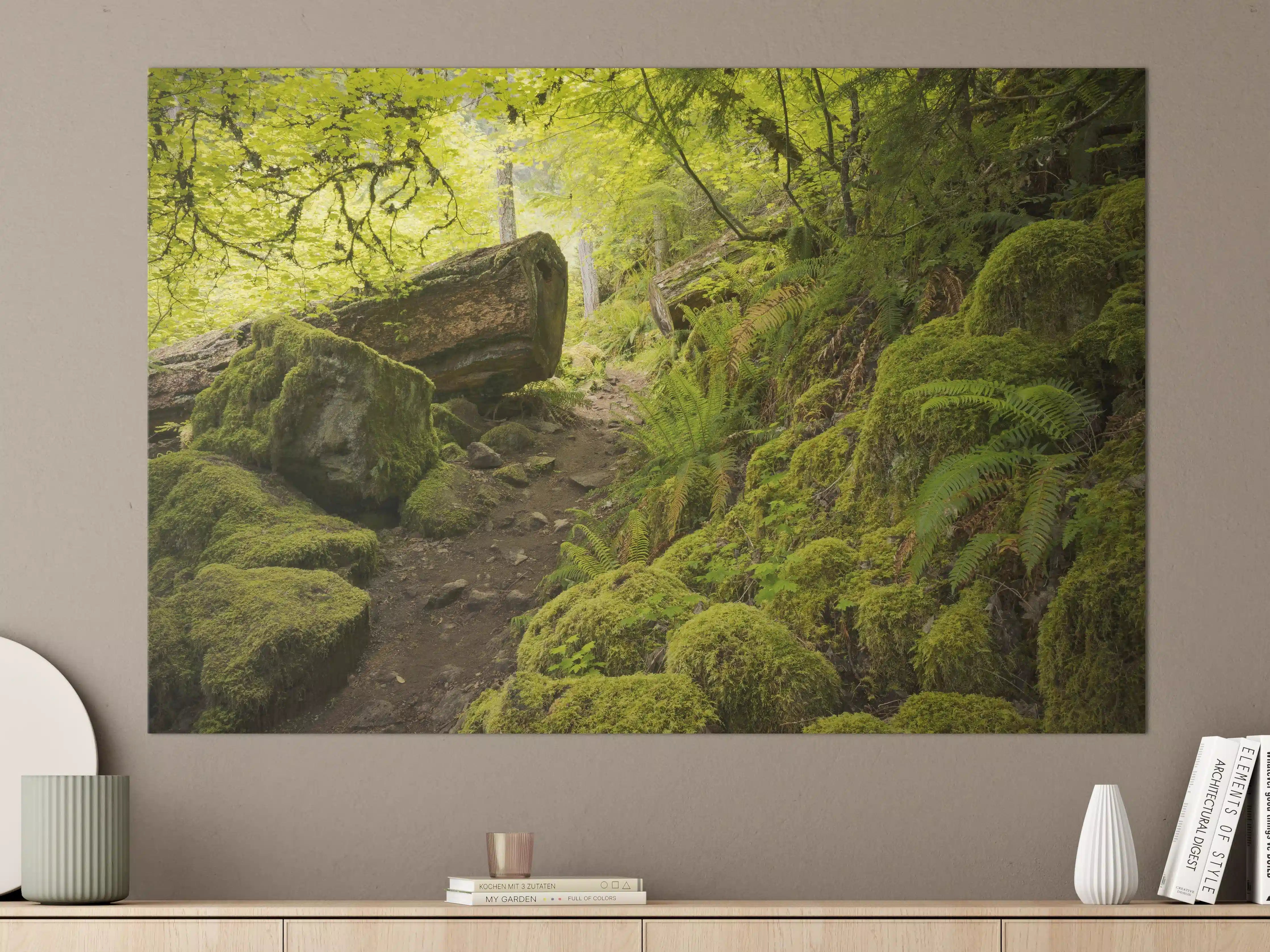 Große Wandbilder - Moosiger Weg im Wald