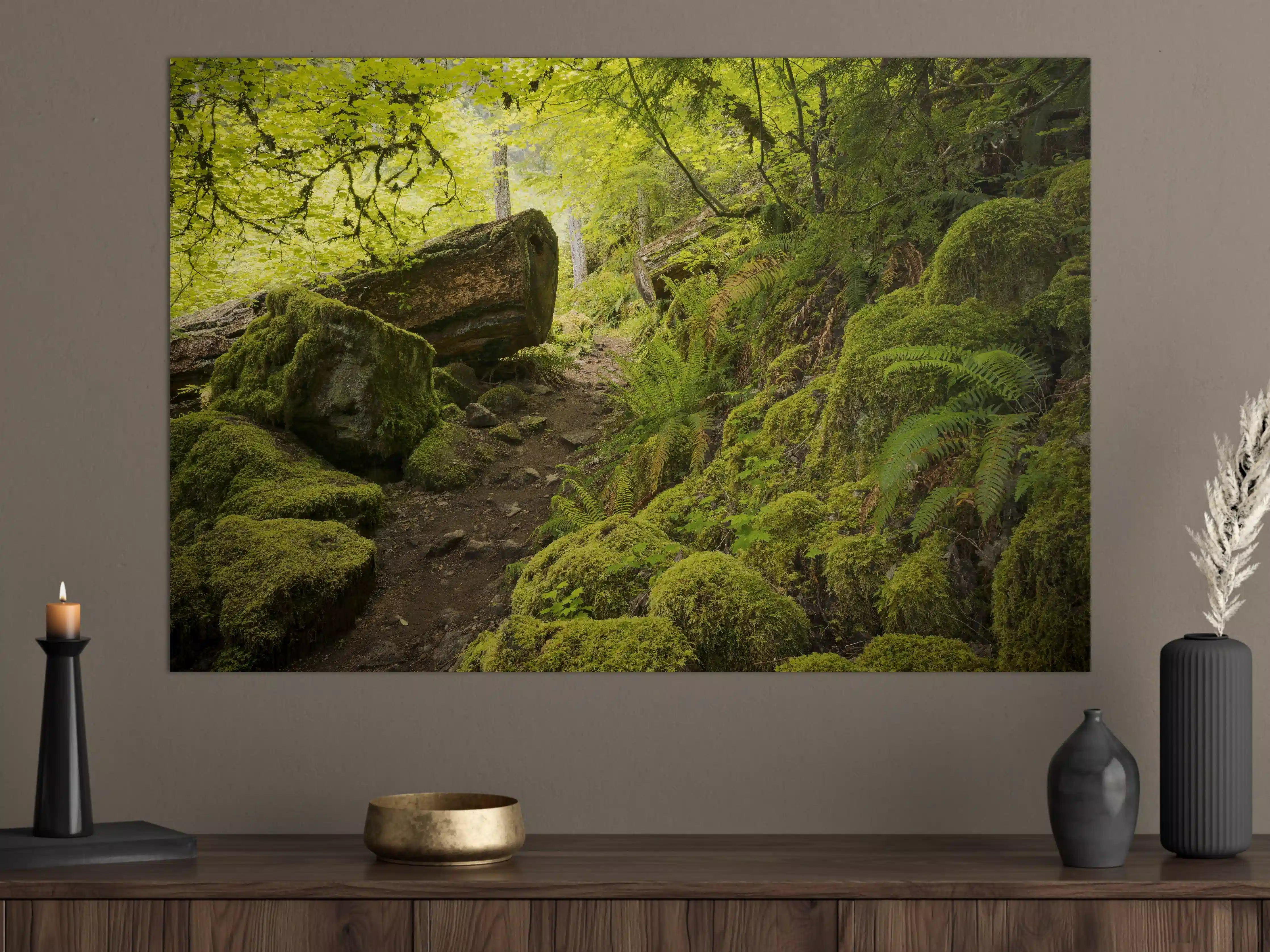 Große Wandbilder - Moosiger Weg im Wald