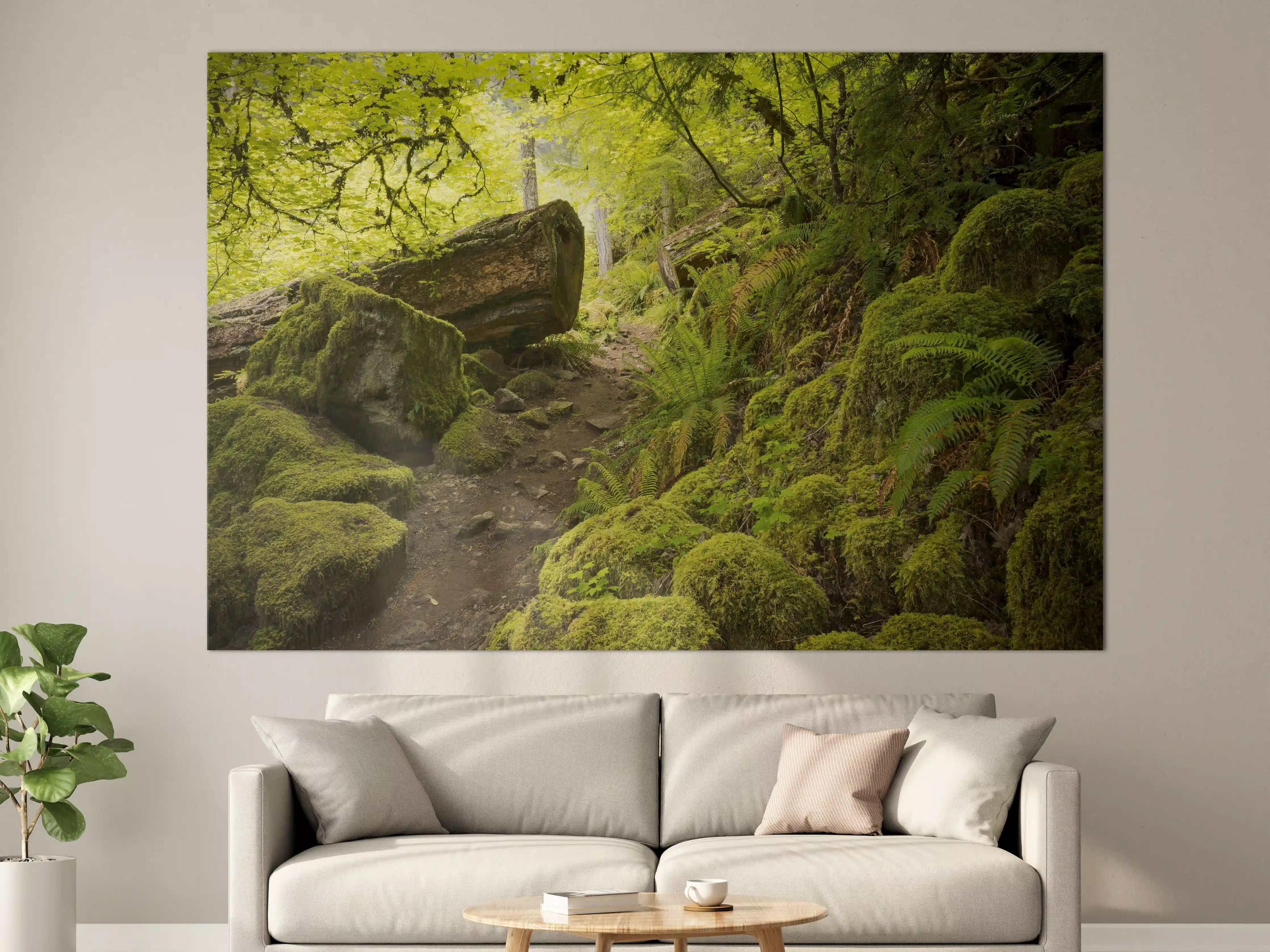 Große Wandbilder - Moosiger Weg im Wald