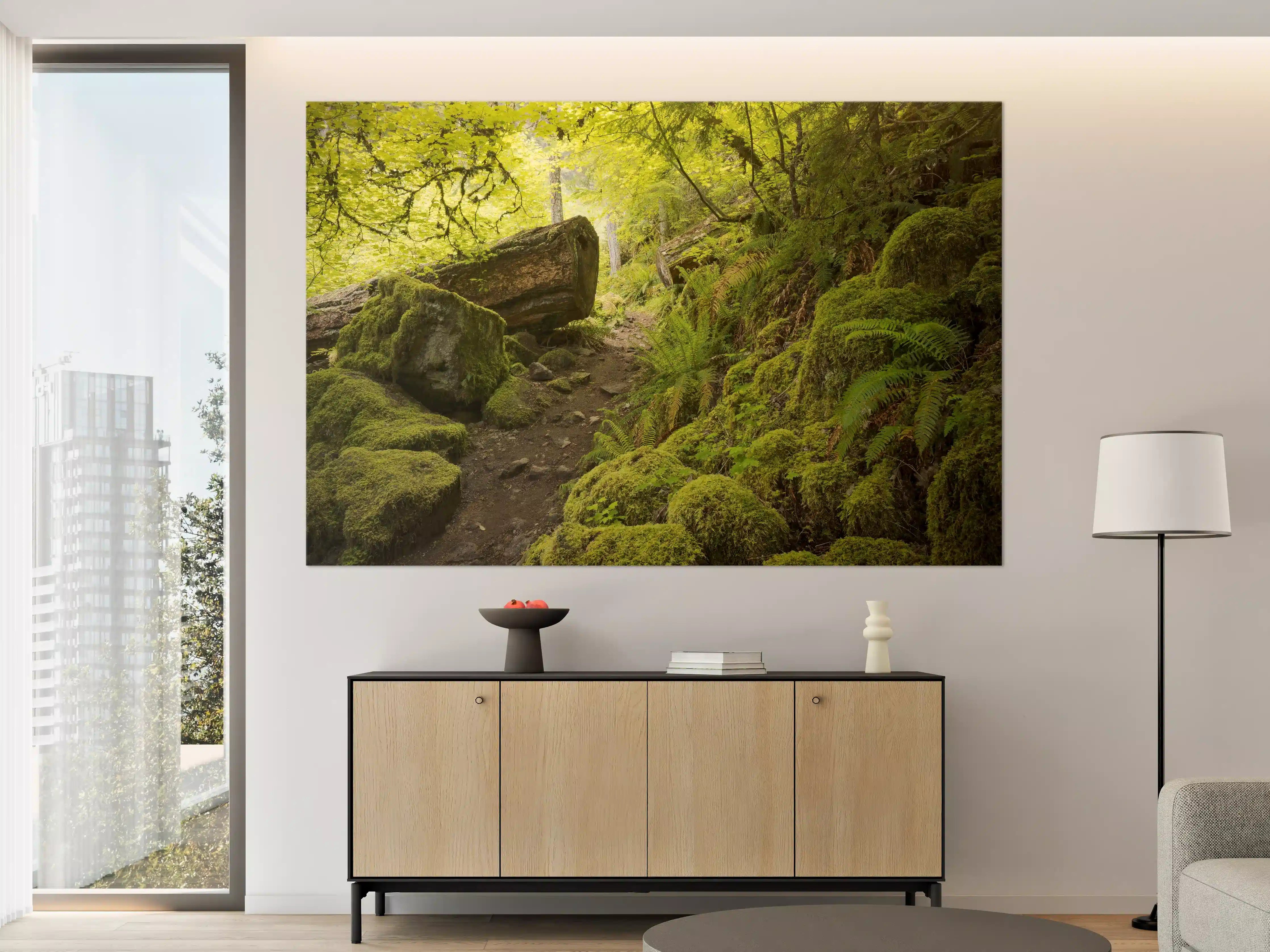 Große Wandbilder - Moosiger Weg im Wald