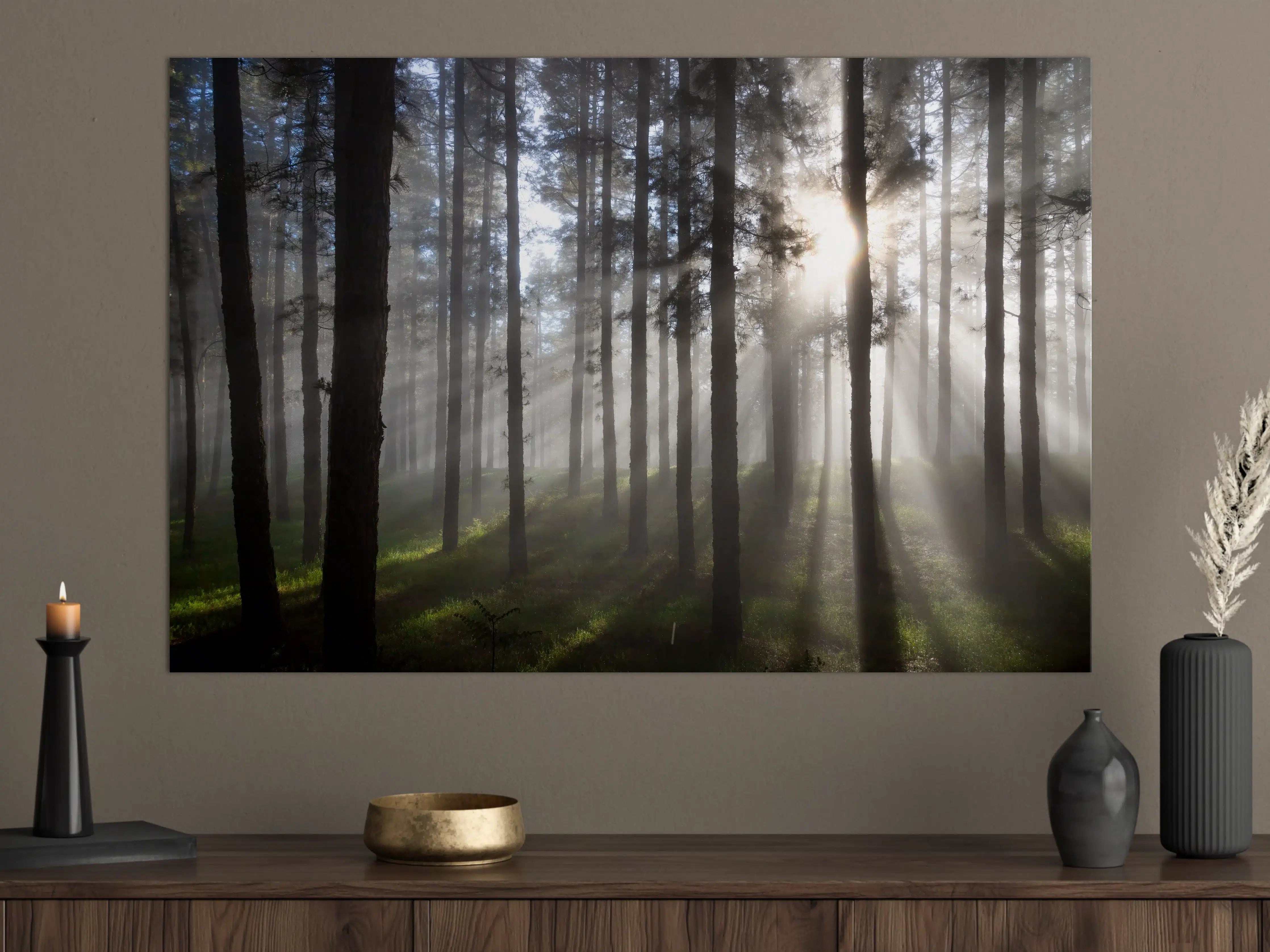 Große Wandbilder - Morgenlicht im Wald