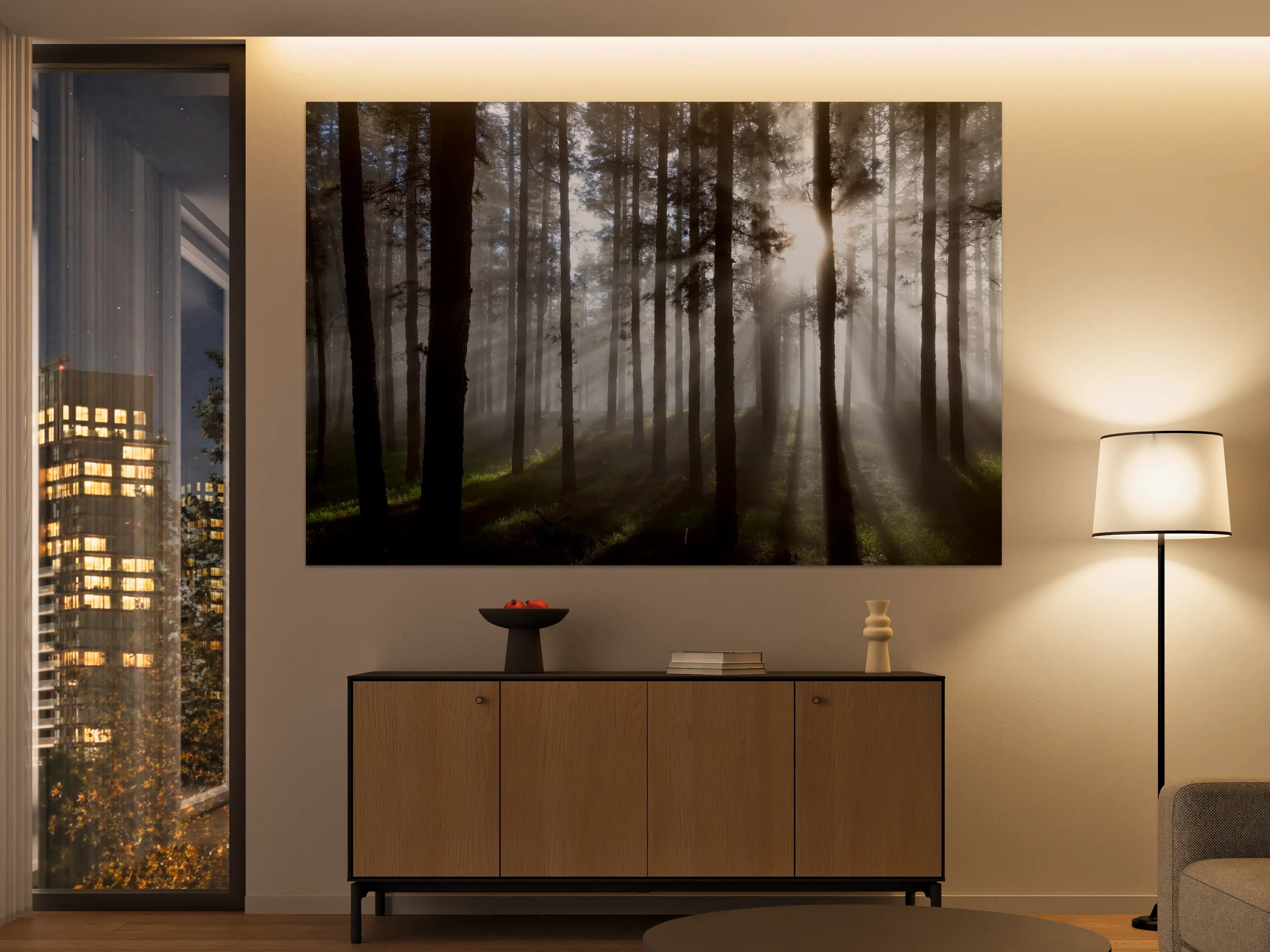 Große Wandbilder - Morgenlicht im Wald