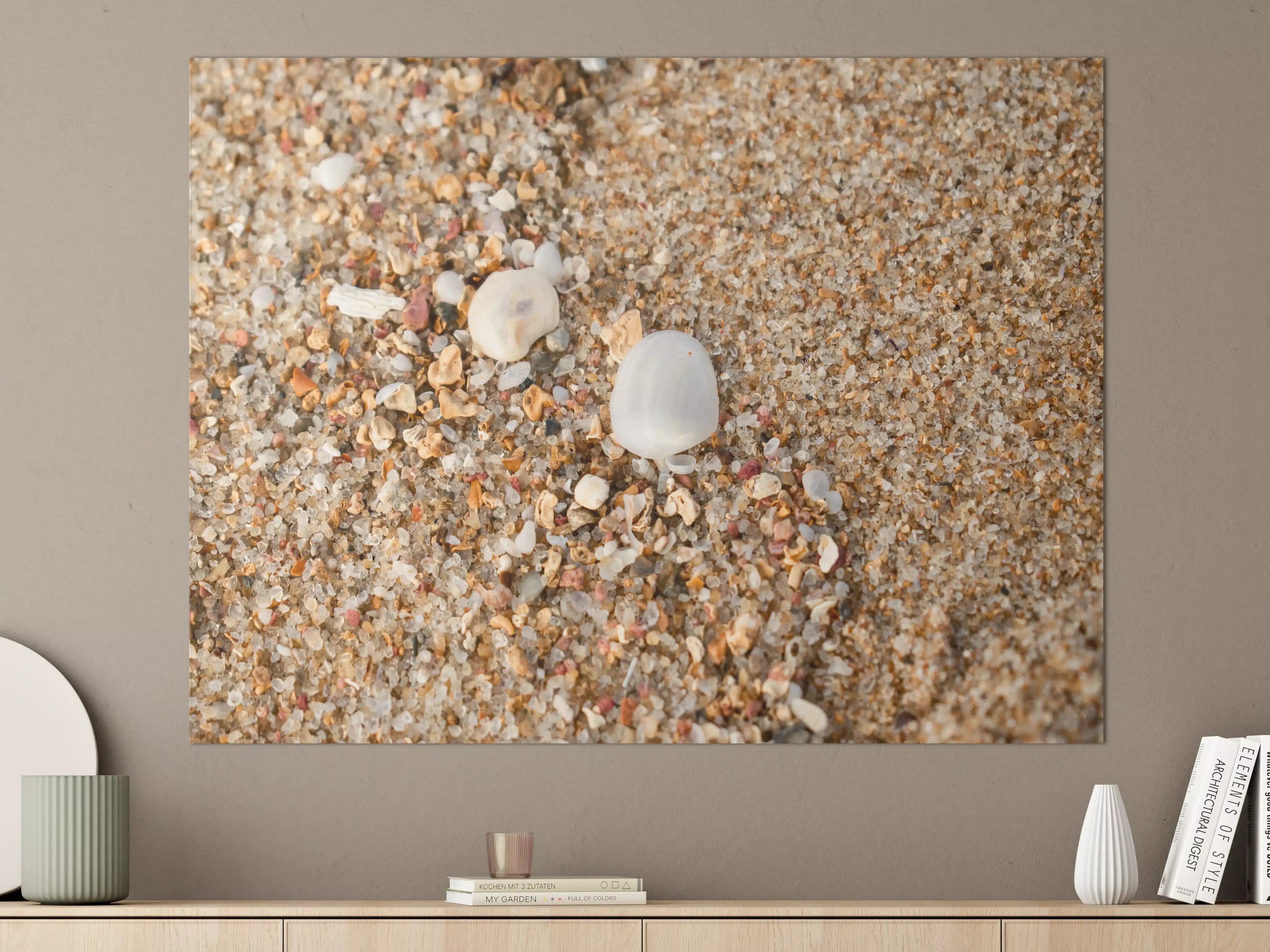 Große Wandbilder - Muscheln im Strandsand. Shell