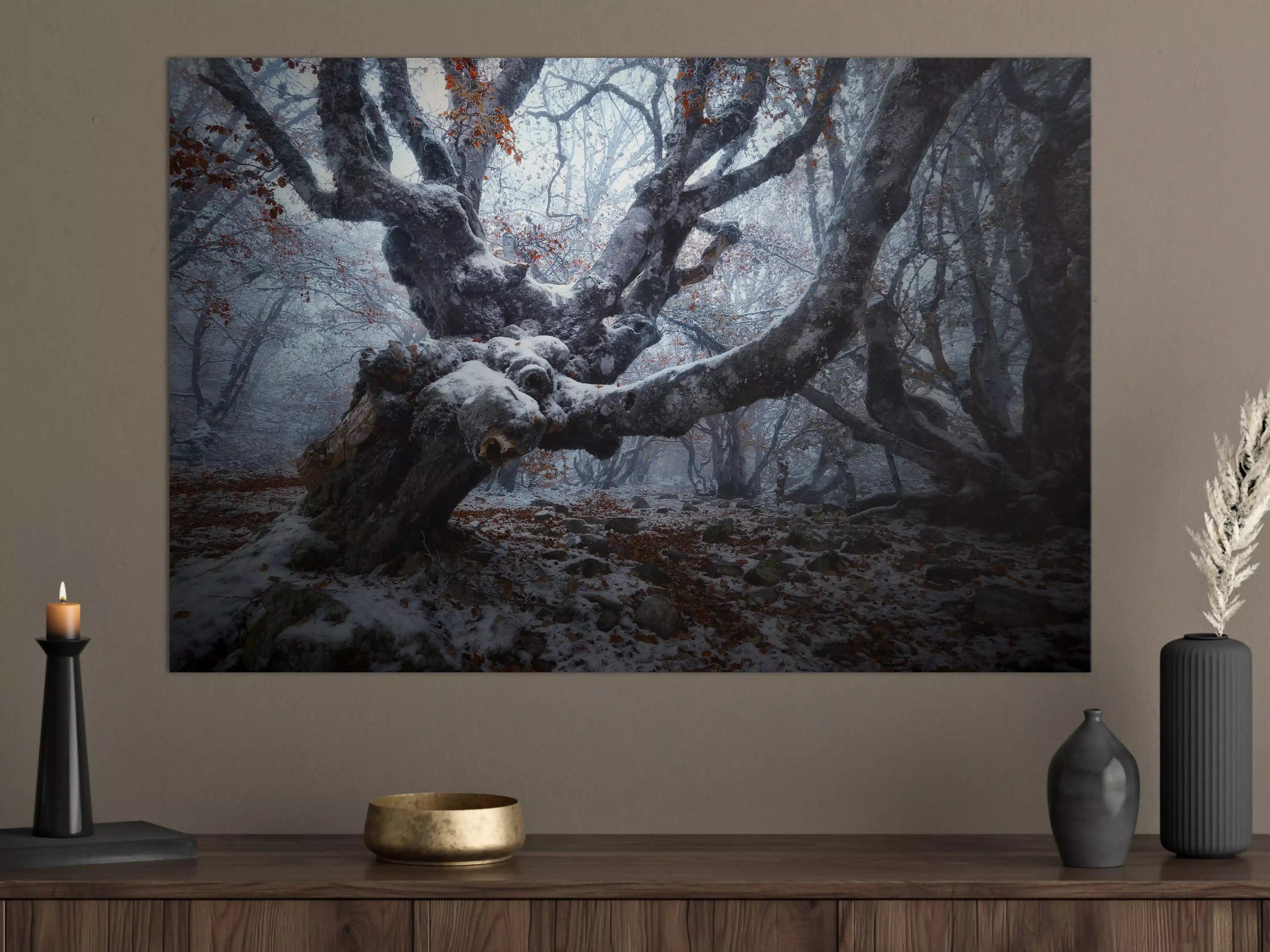 Große Wandbilder - Mystischer Nebelwald mit verwurzeltem Baum