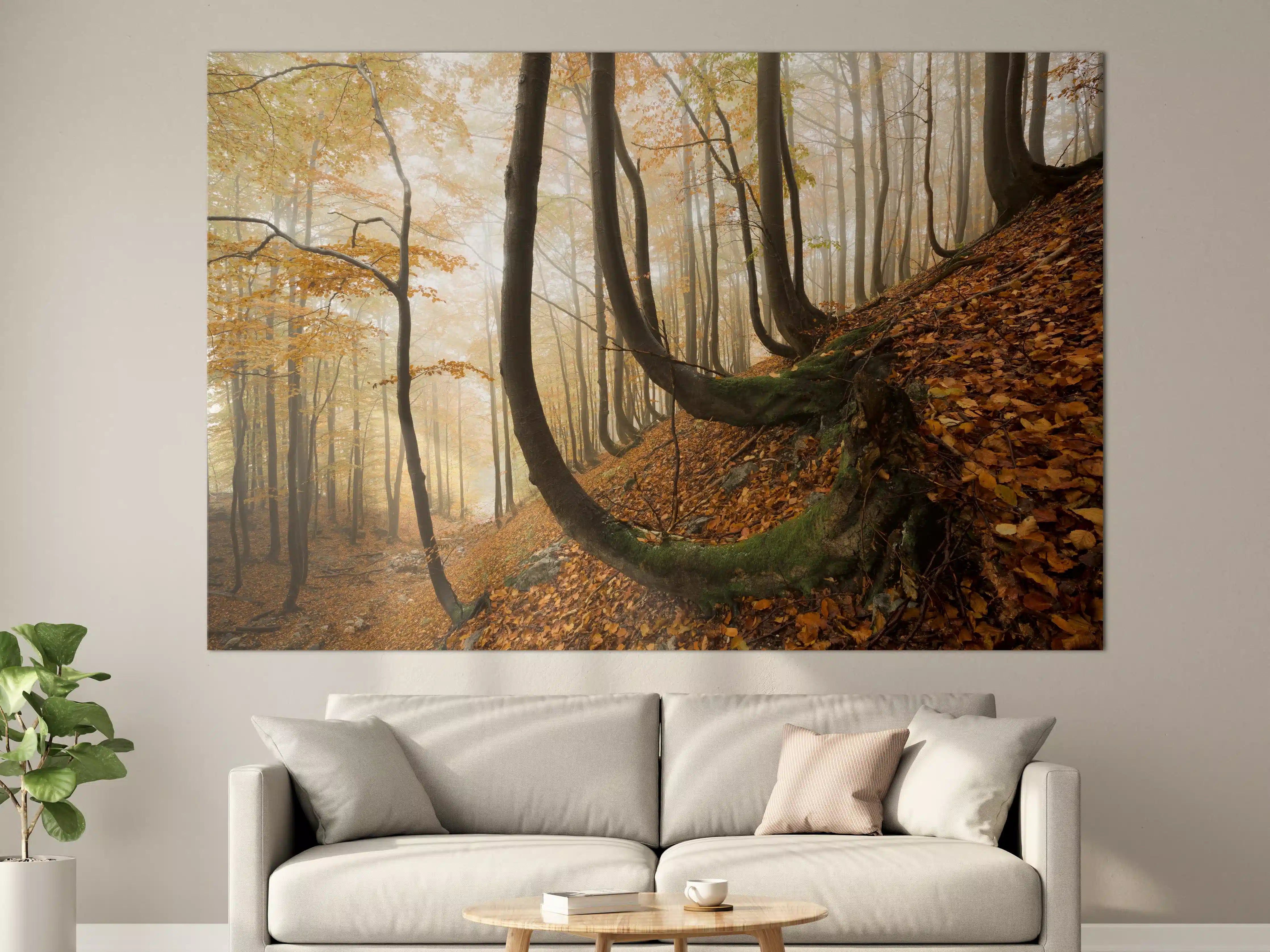 Große Wandbilder - Mystischer Wald im Herbst