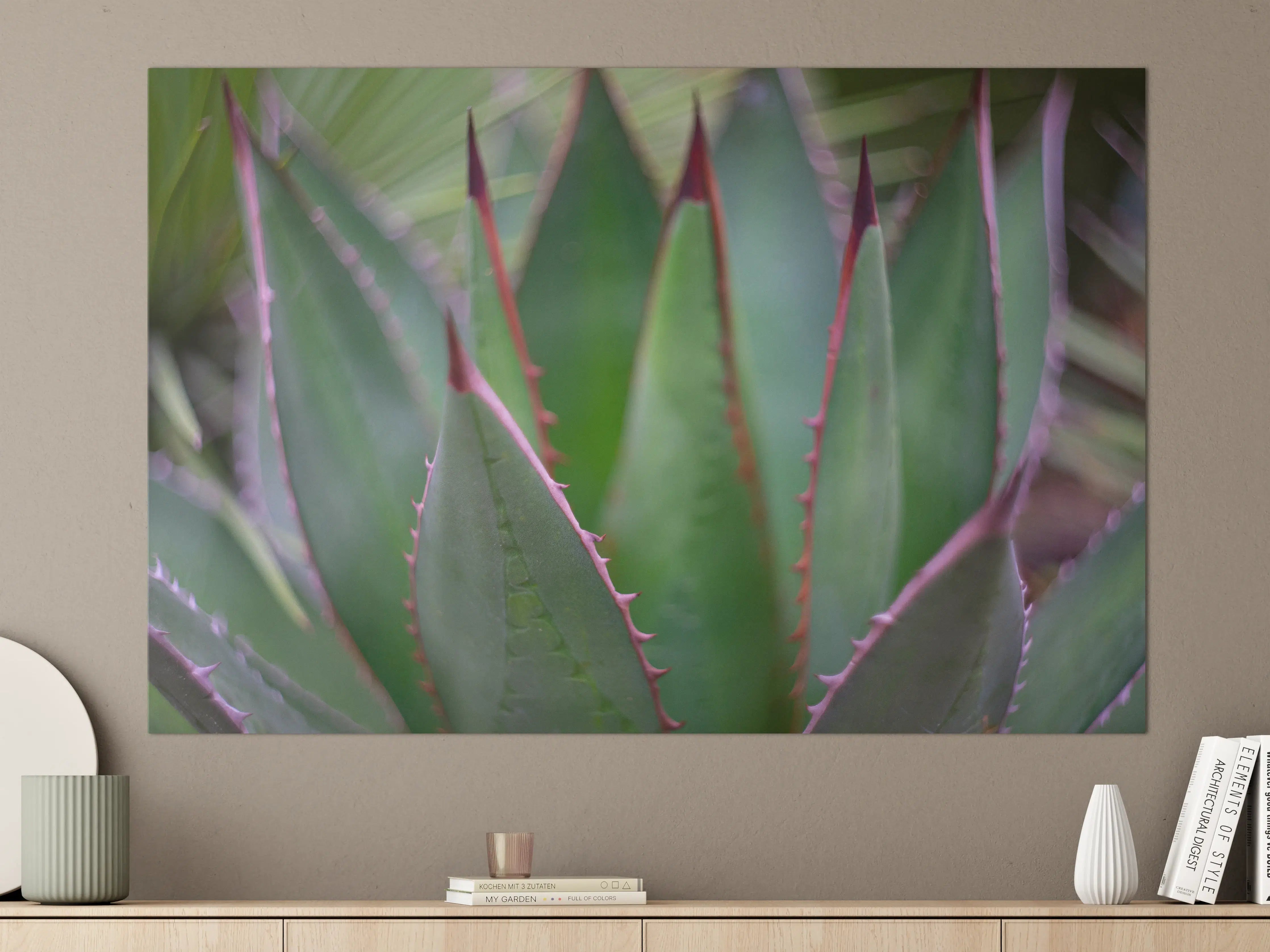 Große Wandbilder - Nahaufnahme - Agave ghiesbreghti