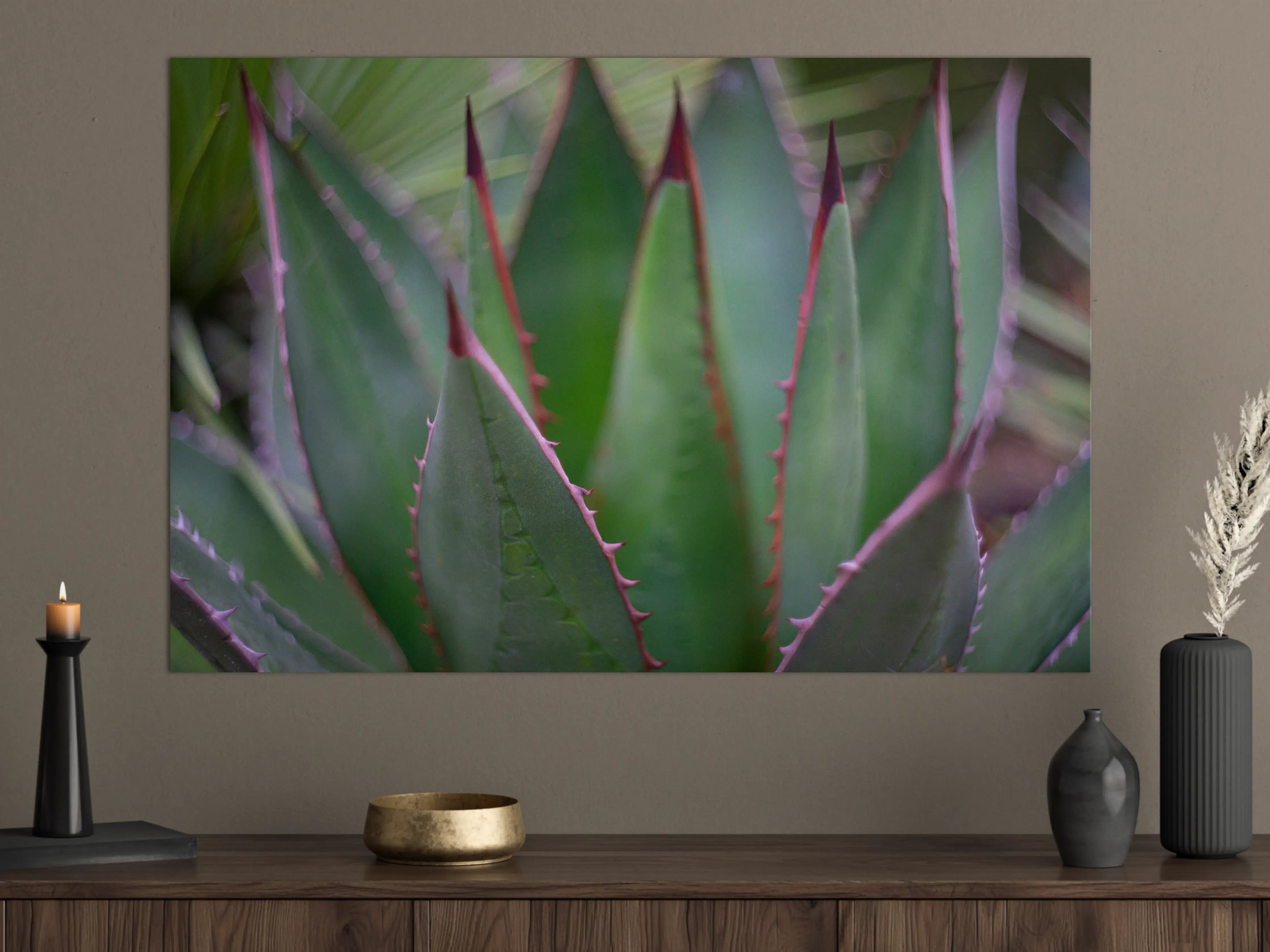 Große Wandbilder - Nahaufnahme - Agave ghiesbreghti