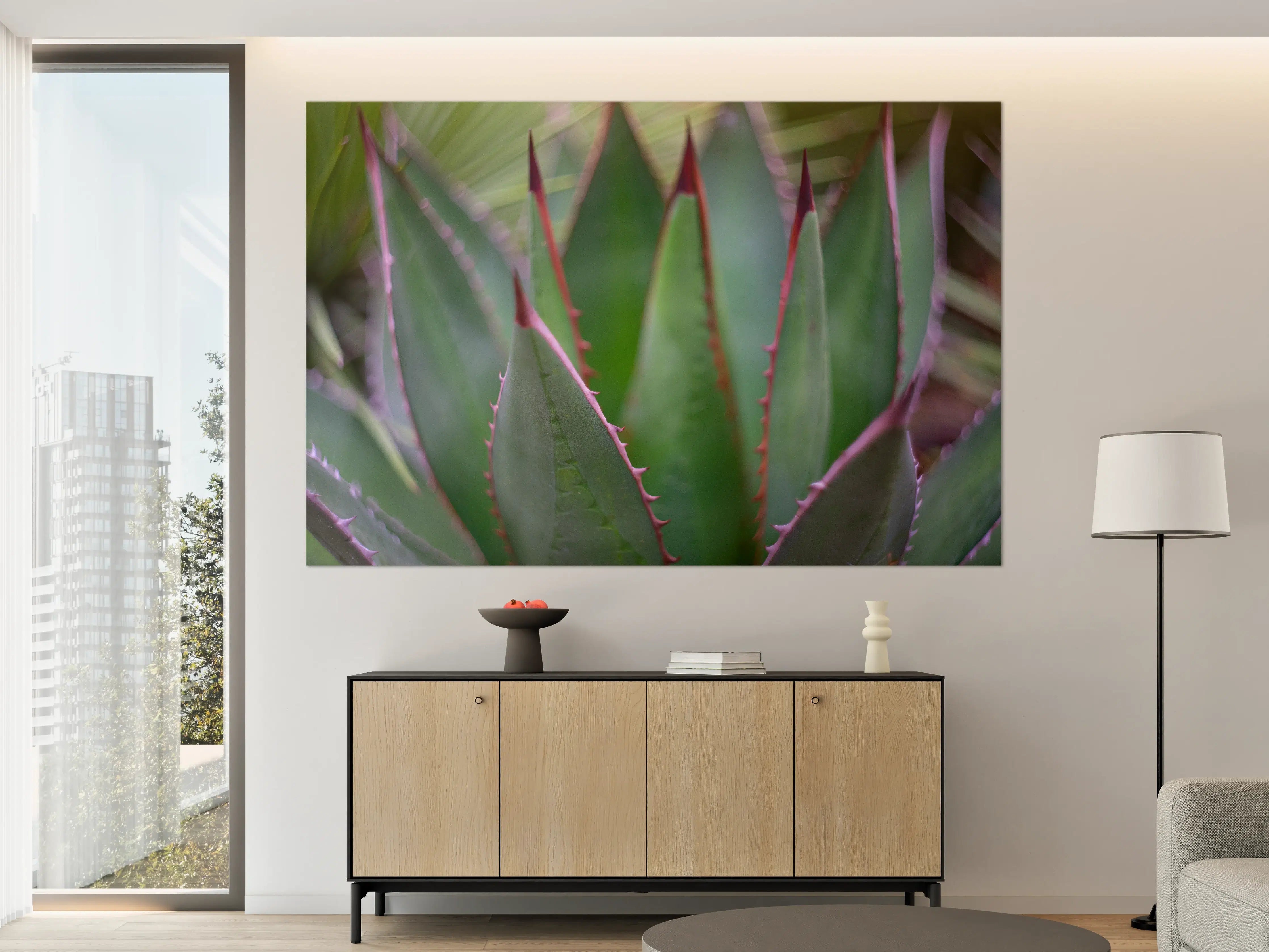 Große Wandbilder - Nahaufnahme - Agave ghiesbreghti