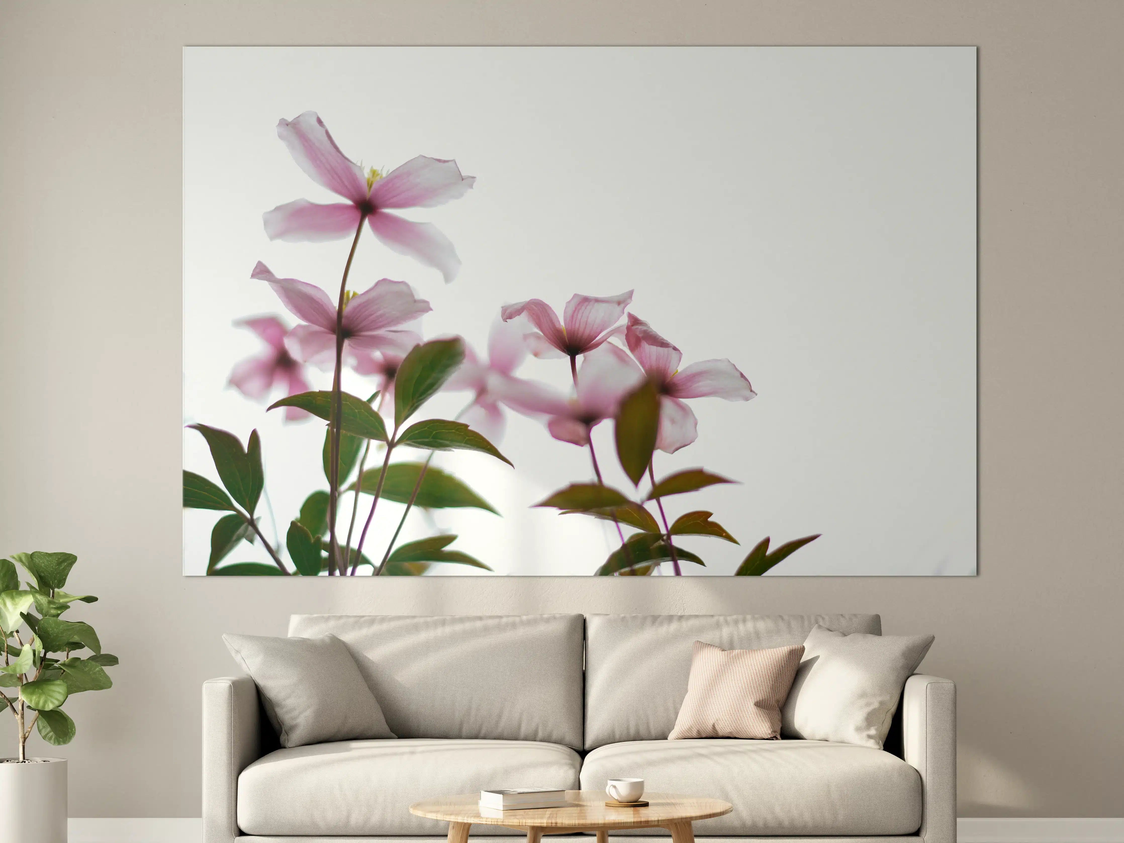 Große Wandbilder - Nahaufnahme - Clematis Blüten